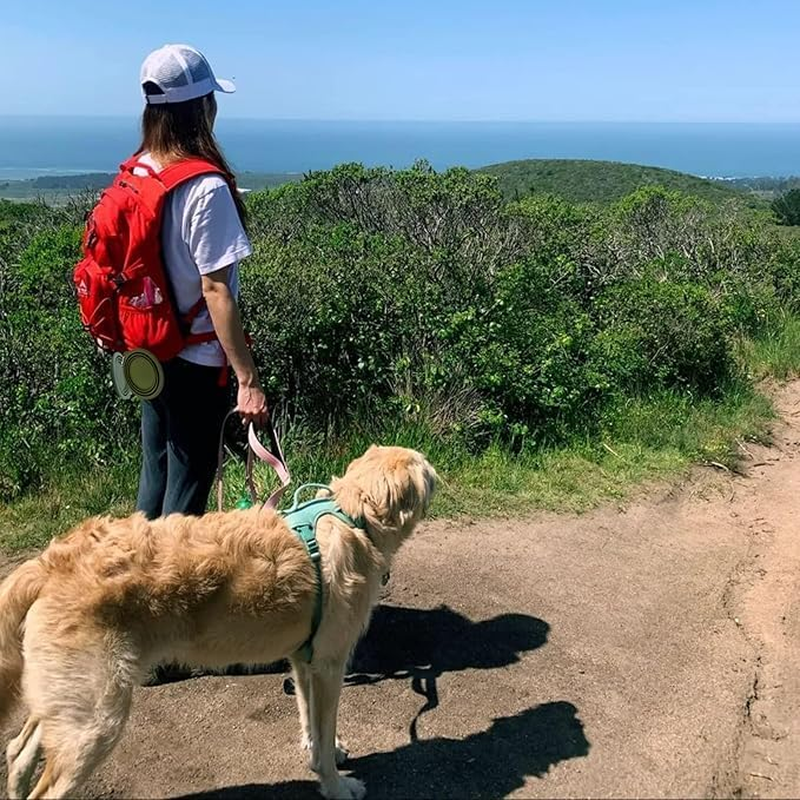2 Pack Foldable Pet Travel Bowls (600Ml), 100% Food Grade Silicone One-Piece Molding, No Plastic Edge, Buckle Portable Pet Feeding and Drinking Tray, Suitable for Outdoor, BPA Free image number 2