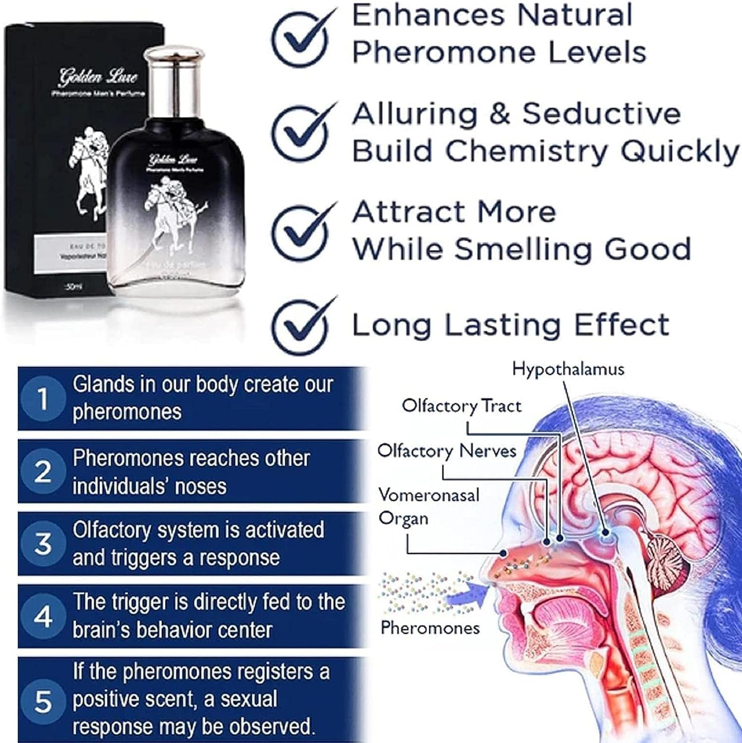 Mens Perfume - Persistent Fragrance Spray for Men,50Ml Exquisite and Thoughtful Holiday Gifts for Yours Friends, Colleagues, Companion, Families, And image number 3