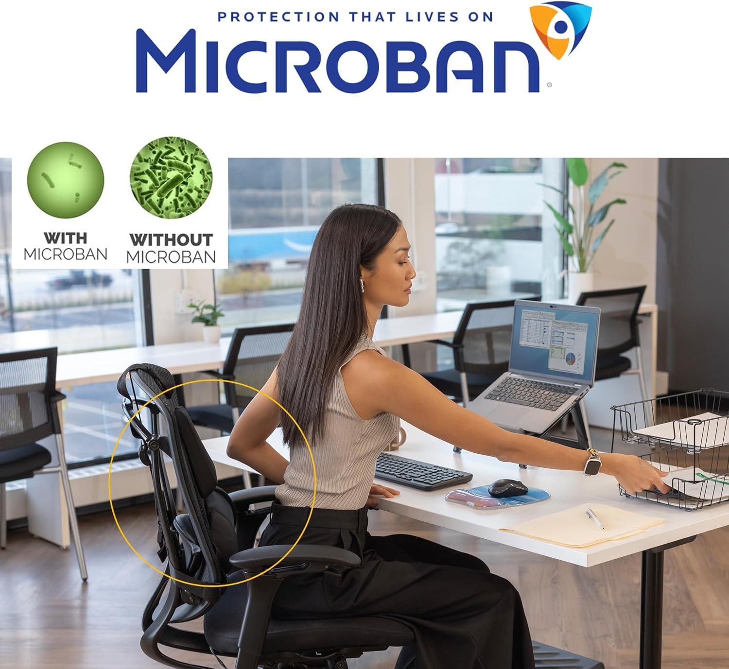 Fellowes Professional Series Back Support, Black (8037601) image number 3