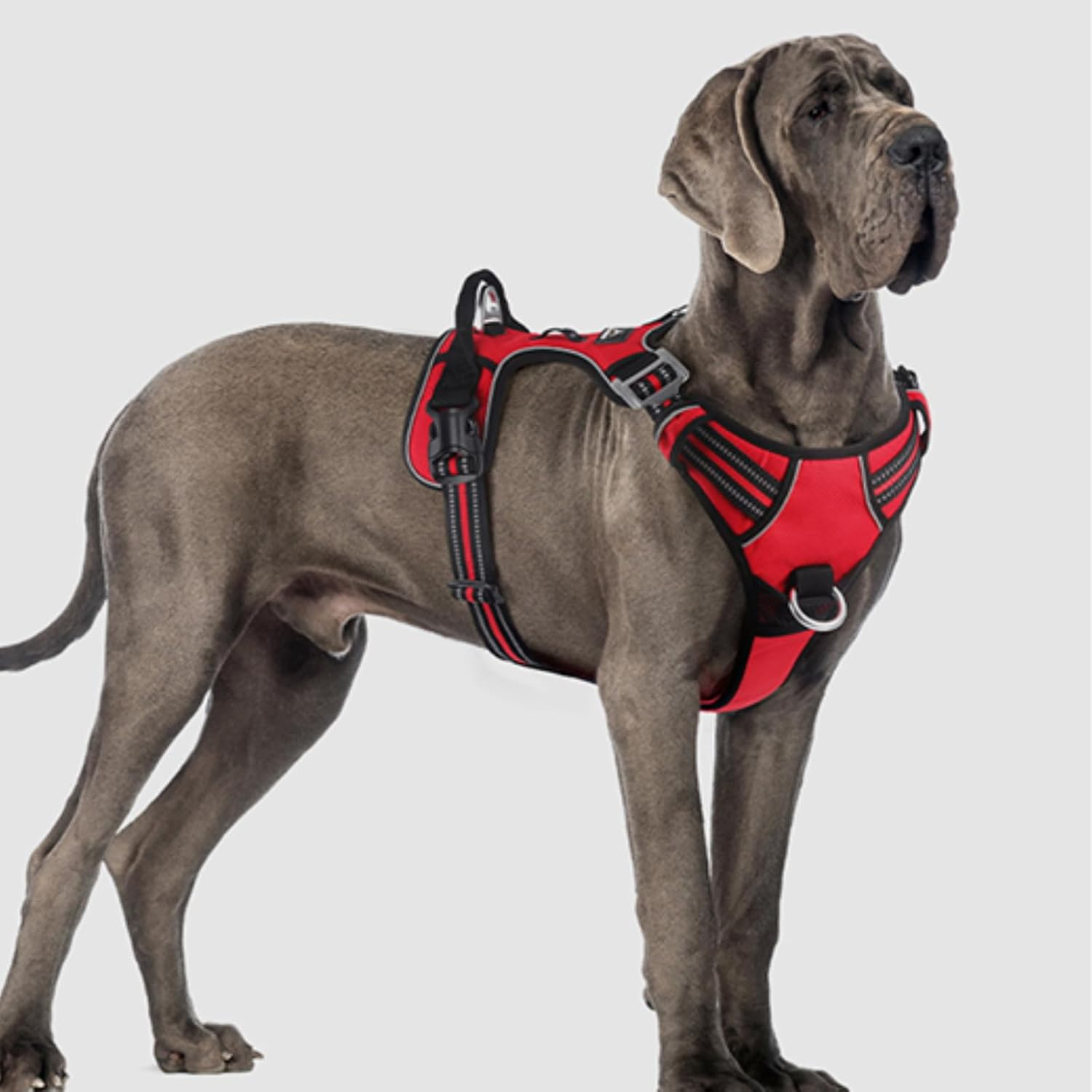 DKDDSSS Dog Harness Large Dog No Pull Pet Harness Dog Vest Harness, Adjustable Soft Padded Pet Vest Harness, Y Shaped Harness, Dog Harness, Easy Control Handle for Training or Walking, L image number 2