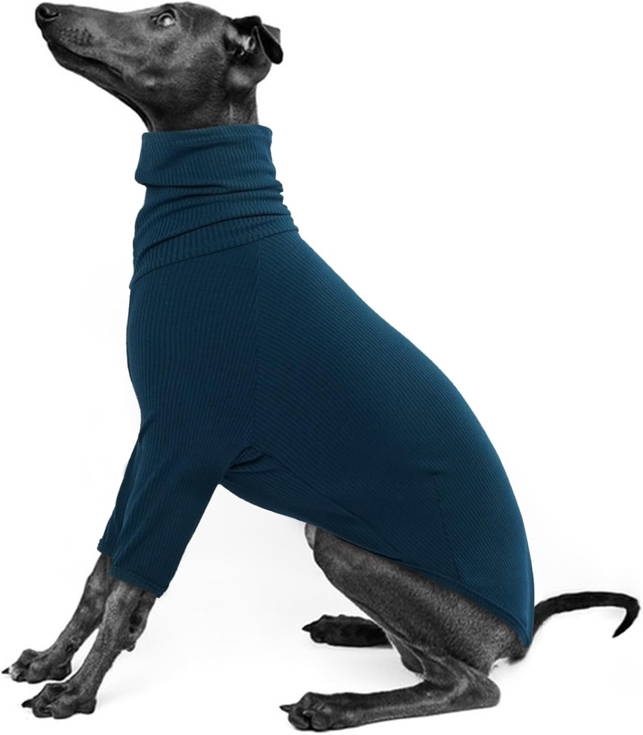 Iecoii Greyhound Sweater, Cozy Italian Greyhound Jumpsuit, Pullover Dog Sweater for Small Dogs, Turtleneck Whippet Onesie Clothes for Spring Fall Outfits, Extra Soft Whippet T Shirts with Sleeves, XS image number 3