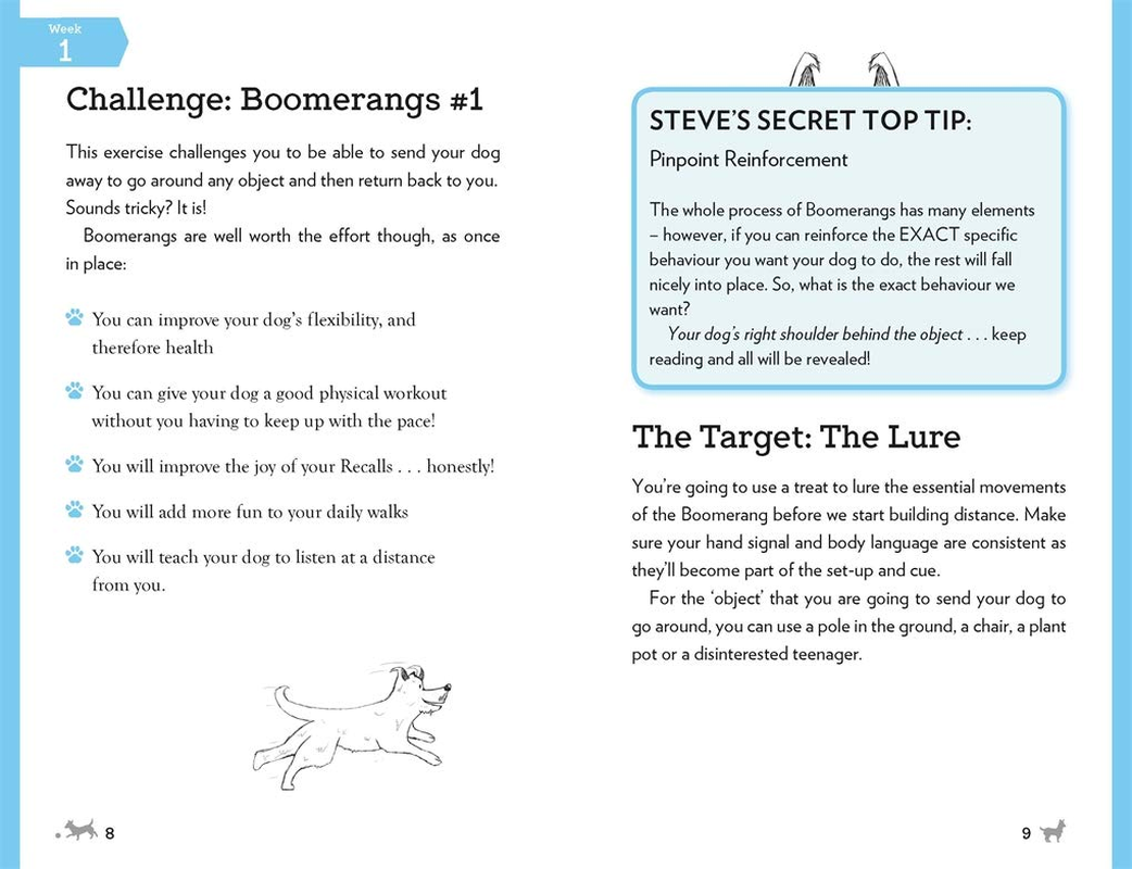 Easy Peasy Doggy Diary: Train Your Dog and Track Their Progress with the Help of the Uk'S No.1 Dog-Trainer image number 6