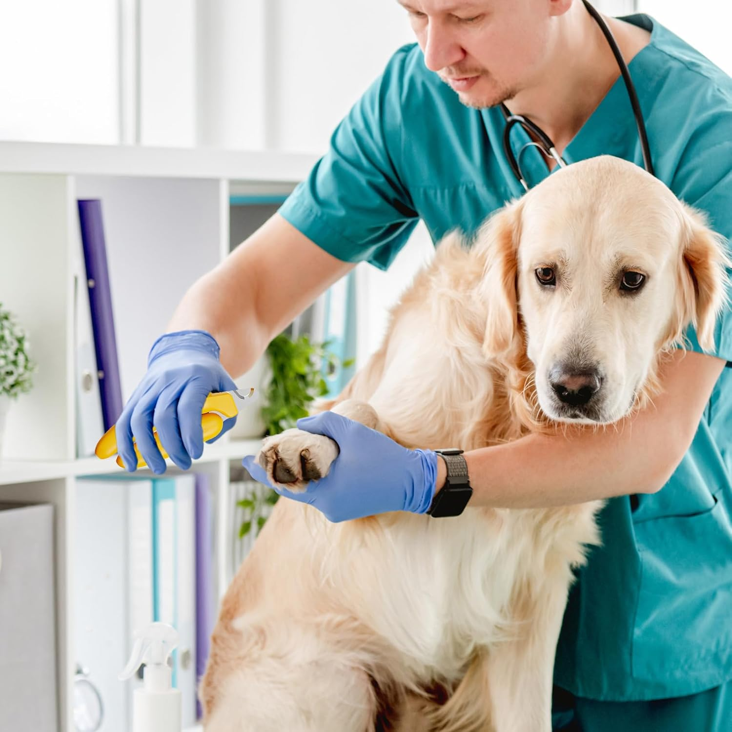 Professional Claw Scissors for Dogs and Cats, Stainless Steel Claw Pliers, Mini Banana Dog Claw Cutter, Claw Scissors with Splash-Proof Protective Device, for Medium and Small Pets Claw Care image number 6