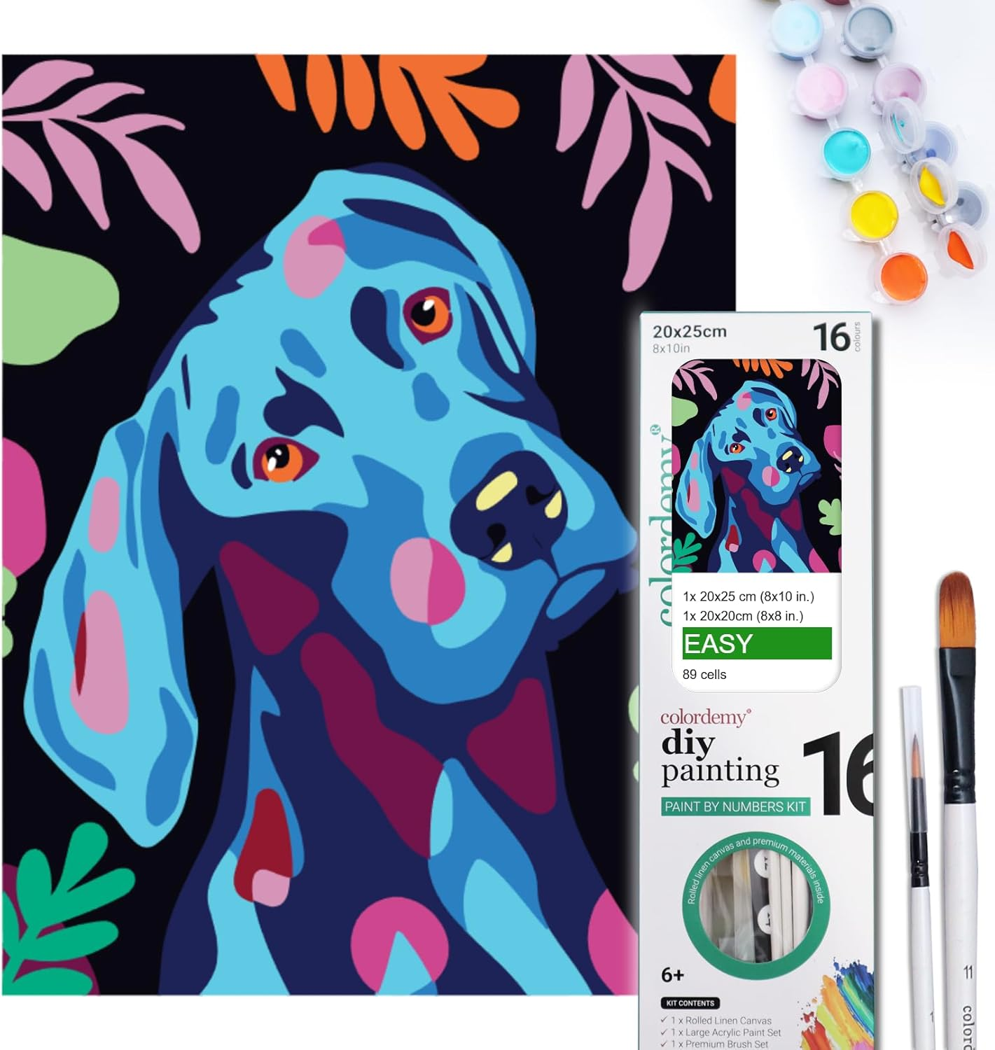 COLORDEMY 2-In-1 Paint by Numbers Kit - Rolled Canvases (20X25Cm & 20X20Cm), 16 Colours, Brushes & Paints Included - Fun for Adults & Kids, Perfect for Parties or Group Painting (Pinscher Design)