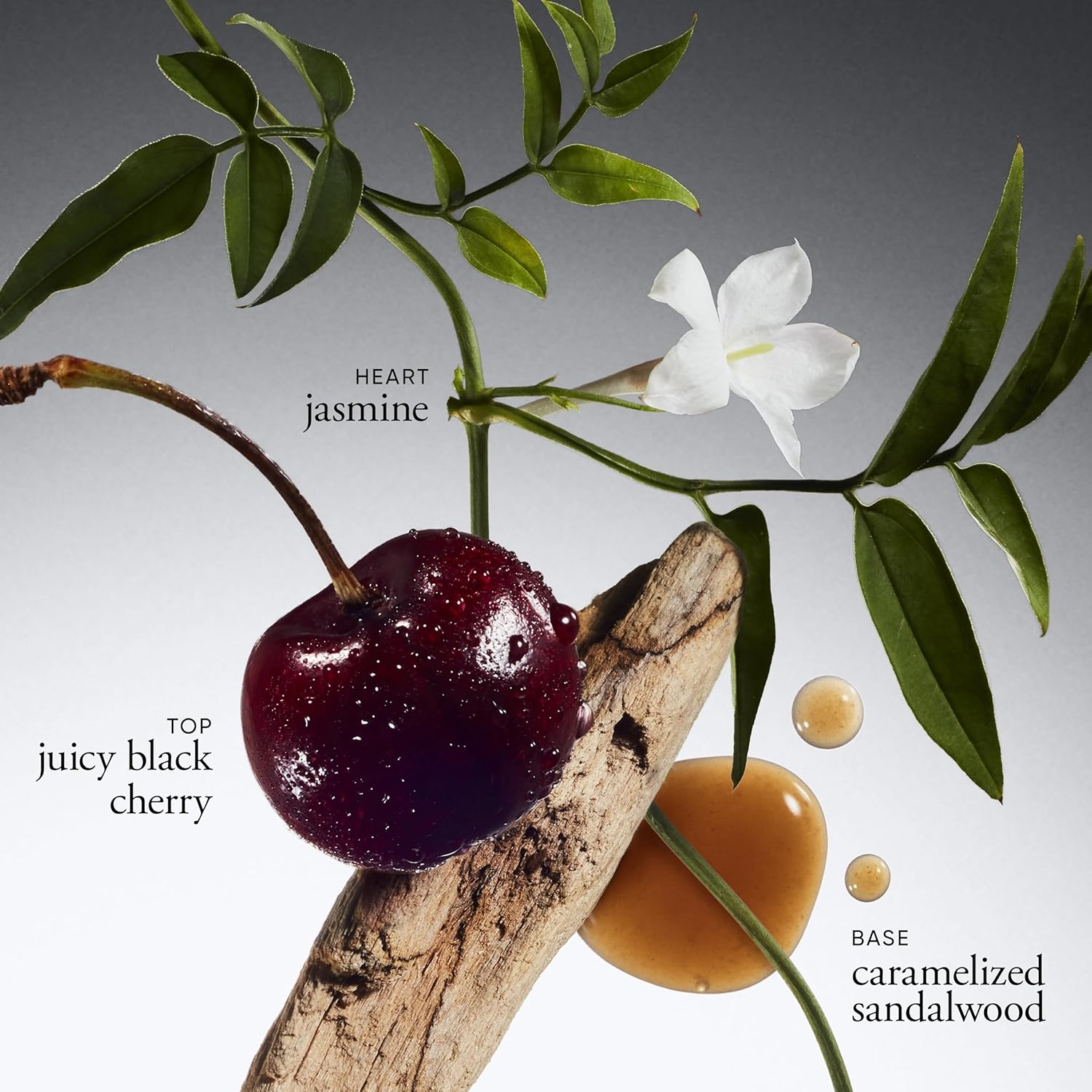 Radiant Grace by Philosophy for Women - 2 Oz EDP Spray image number 4