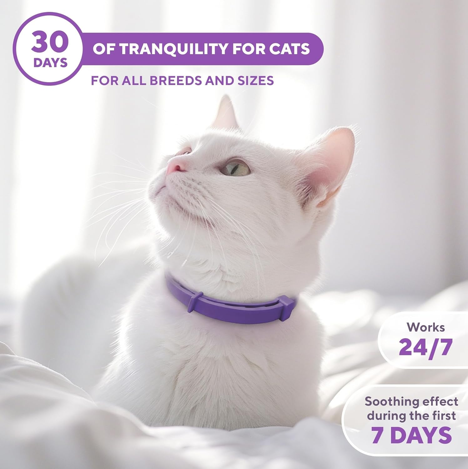 Cat Calming Collar & Pet anti Anxiety Products - Feline Calm Pheromones Collars & Cats Stress Relief - Relaxivet Comfort Helps with Pee, New Zone, Aggression, Fighting with Dogs & Other Behavior image number 2