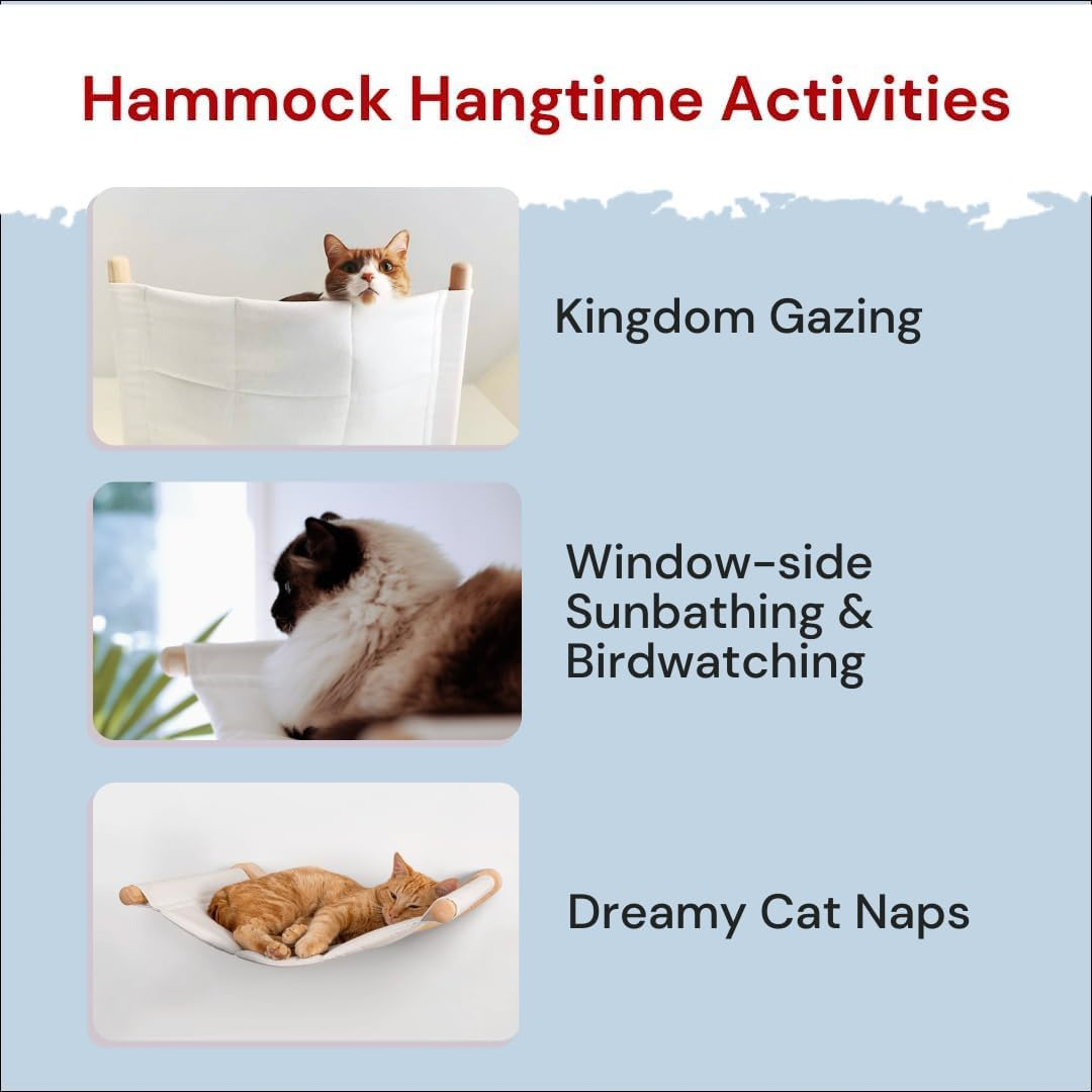 Wall-Mounted Cat Hammock with Steps &ndash; Cat Wall Shelves for Climbing, Sleeping, and Lounging &ndash; Modern Cat Furniture for Large Cats and Kittens