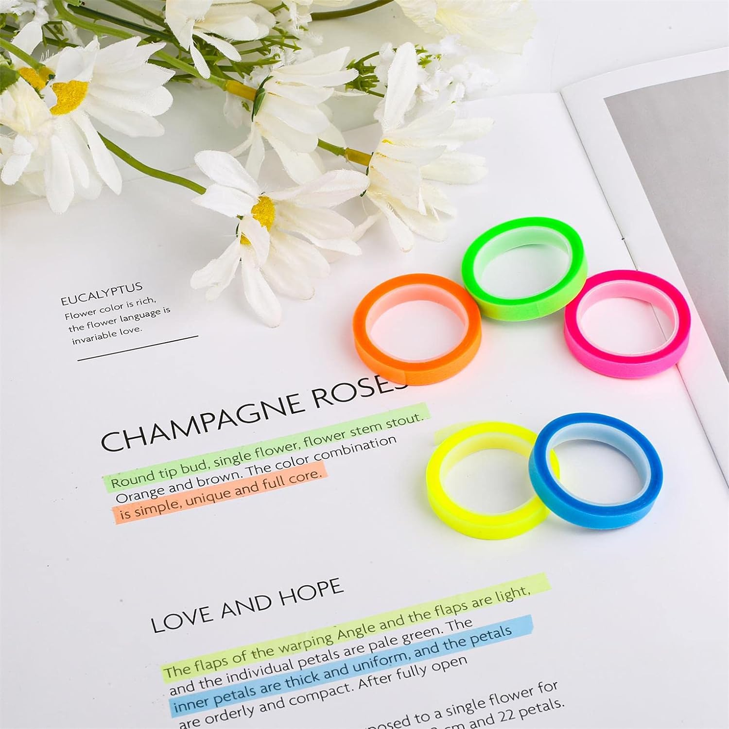 5 Rolls Highlighter Tape, 6Mm X 5M Interchangeable Fluorescent Tapes Highlighter Tape Colorful Tape Transparent for Students Teachers Reading Taking Notes on Classes Home Office image number 1