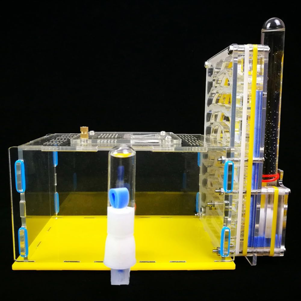 ACAGALA Ant Farm Habitat Kit Acrylic T-Shaped DIY Ant Nest with Feeding Chamber, Educational Insect & Unique Birthday for Adults Kids image number 1