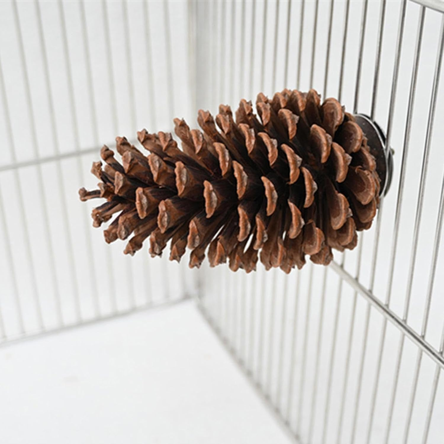Natural Pinecone Bird,Parrot Stand - Bird Perch, Pinecone, Bird Cage Accessories, Parrot Chew Toys, Paw Grinding Stick, Bird Toys for Parakeets, Bird Perches for Finch, Parakeet Arch-Au image number 1