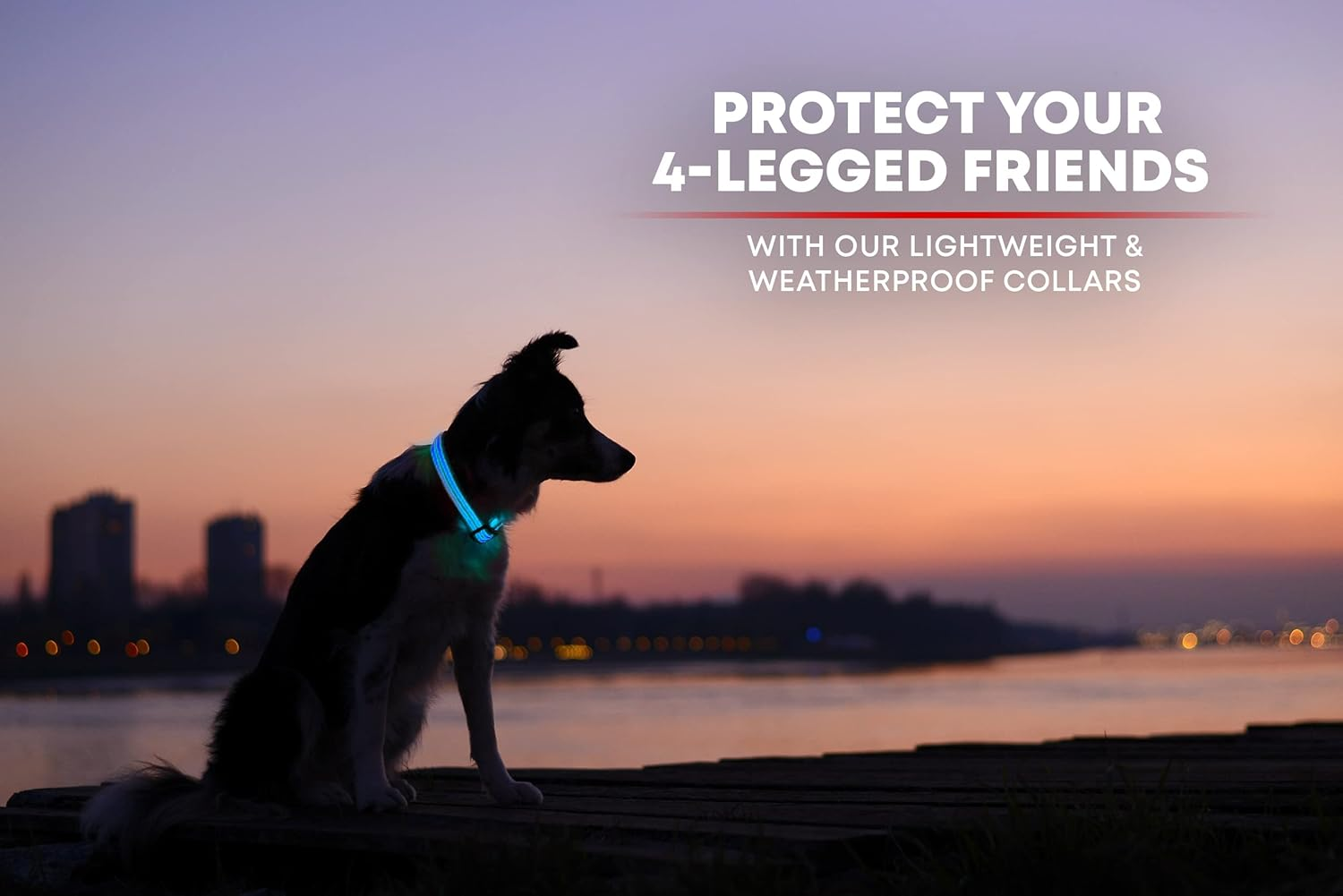 LED Dog Collar, USB Rechargeable, Your Dog Will Be More Visible & Safe, 6 Colours (Red, Blue, Green, Pink, Orange & Yellow) and 6 Sizes - Perfect to Use with Our Matching Illumiseen Leash (Royal Blue, X-Small (23 &ndash; 35Cm)) image number 5