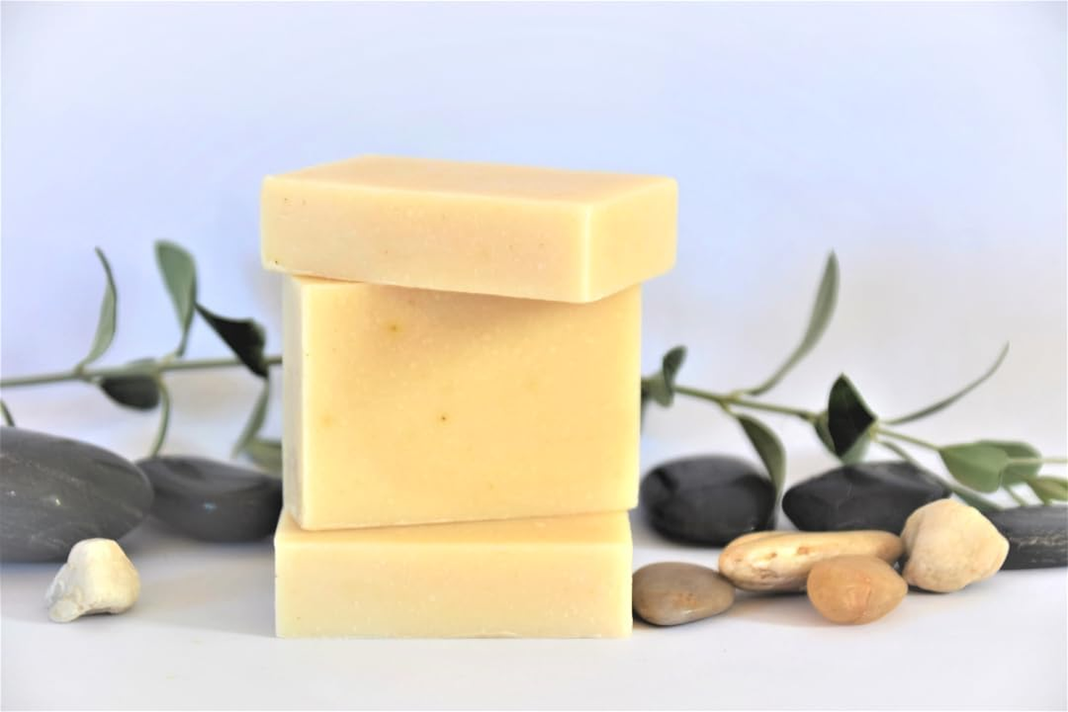 Natural Pet Wash - Clean & Condition Sensitive Skin, PH Balanced Dog Wash 3Pack Bars (300G) image number 1