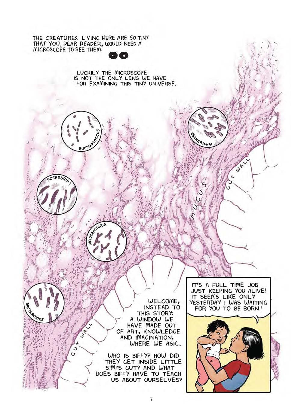 Follow Your Gut: a Story from the Microbes That Make You image number 4