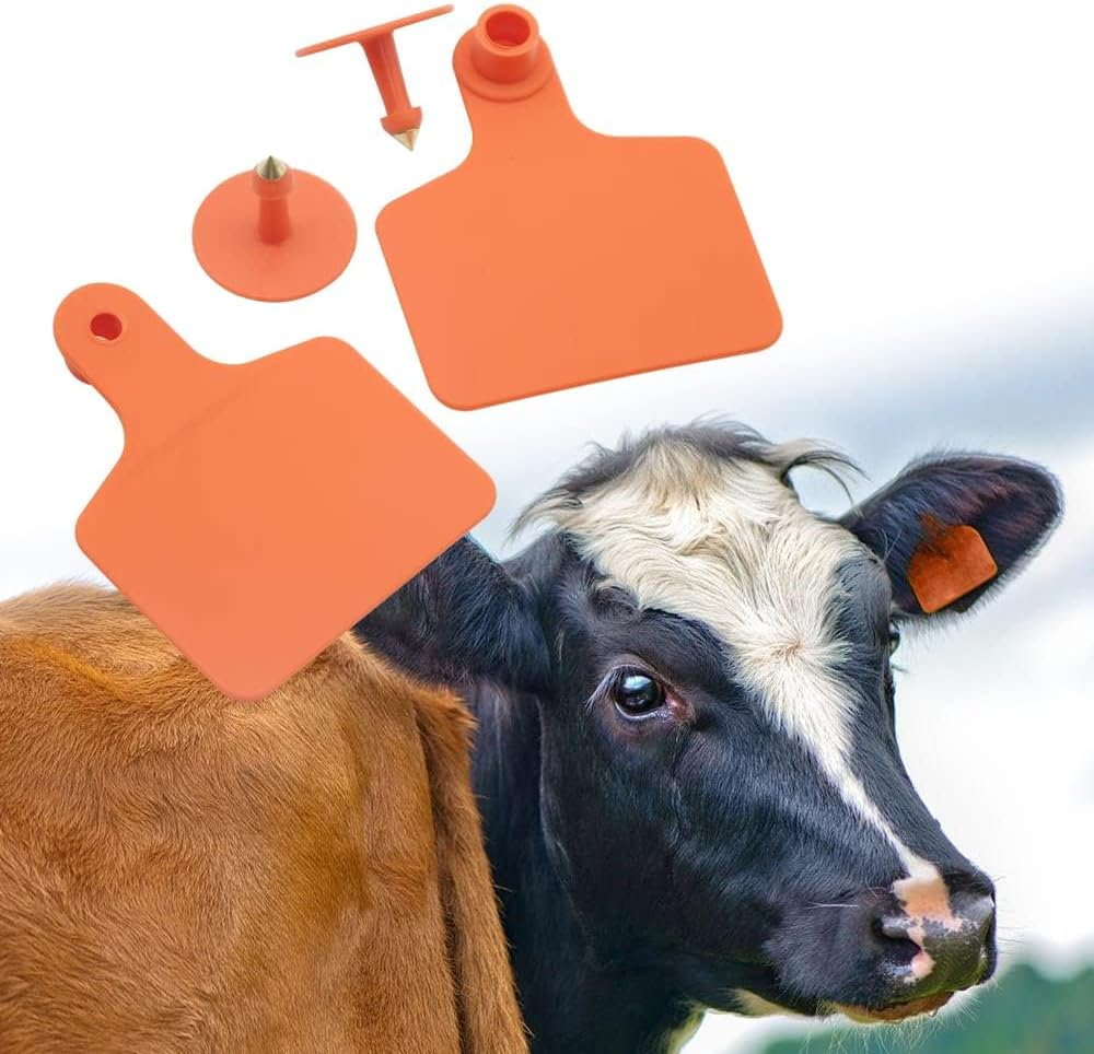 Blank Cattle Ear Tags 100 Pieces TPU Large Livestock Ear Tags Customized Identification Blank Tags for Sheep Cattle Calf Hog (Orange) image number 4