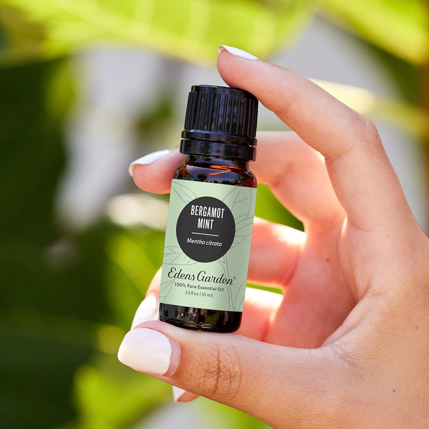 Edens Garden Bergamot Mint 30 Ml 100% Pure Undiluted Therapeutic Grade Essential Oil GC/MS Tested image number 3