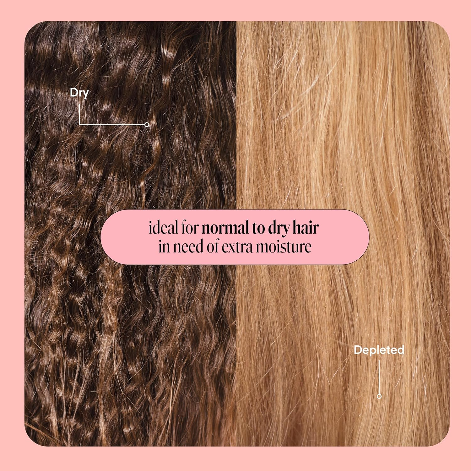 MONDAY HAIRCARE Moisture Shampoo for Dry, Coarse, Stressed, Coily & Curly Hair, Made from Coconut Oil, Rice Protein, Shea Butter, & Vitamin E, 798Ml image number 3