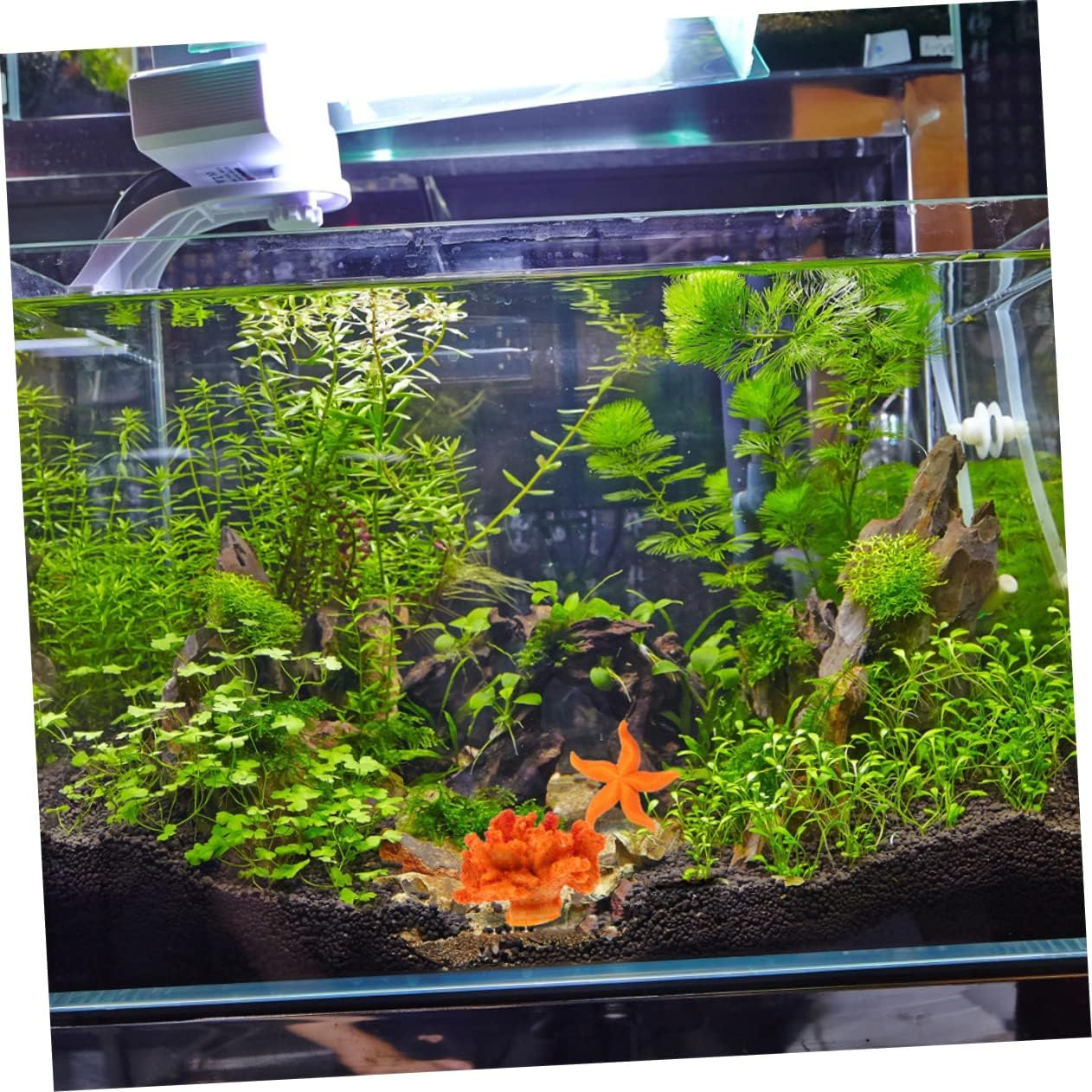 GANAZONO 4Pcs Artificial Coral for Aquarium Decoration Sea Star and Coral Ornaments Safe and Fish Tank Accessories Creative and Lightweight Decor for Fish Pets