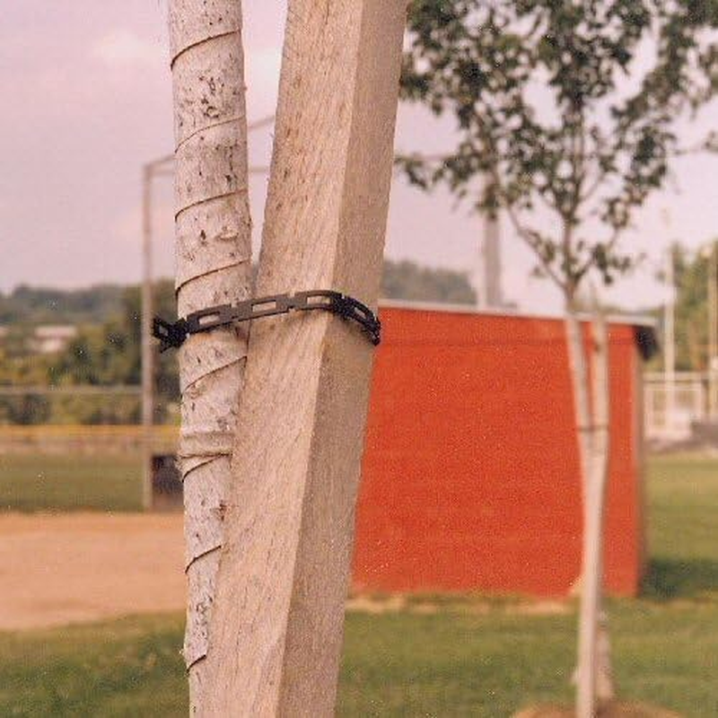 Easyflex 1100-2 Firmflex Chain Lock Tree Tie, 100 Foot, Black