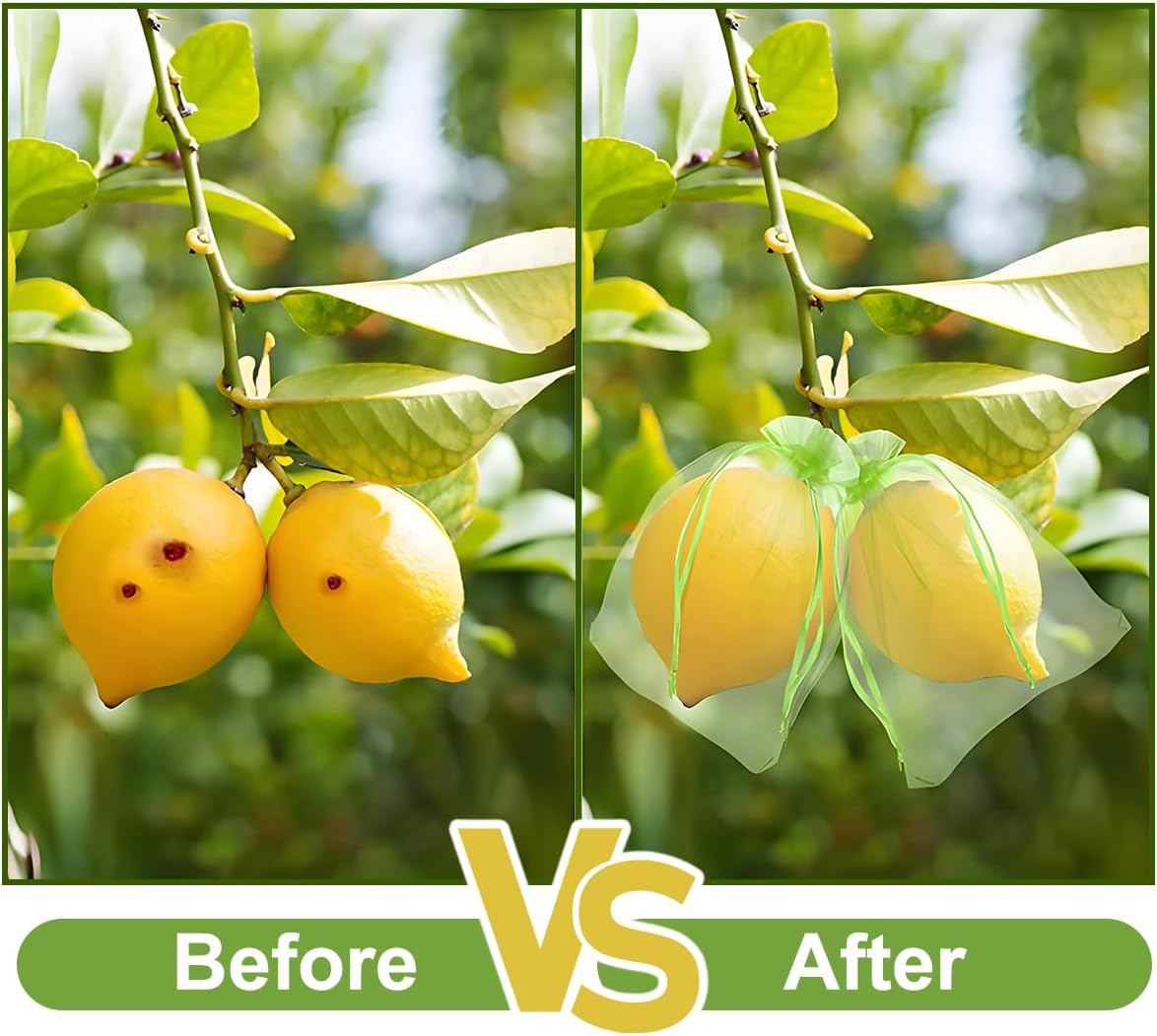 Fruit Protection Bags, 15&times;20Cm，50Pcs, Green，Fruit Cover Net Bags with Drawstring for Grape Apple Mango Peach Protect from Insect Birds Squirrels