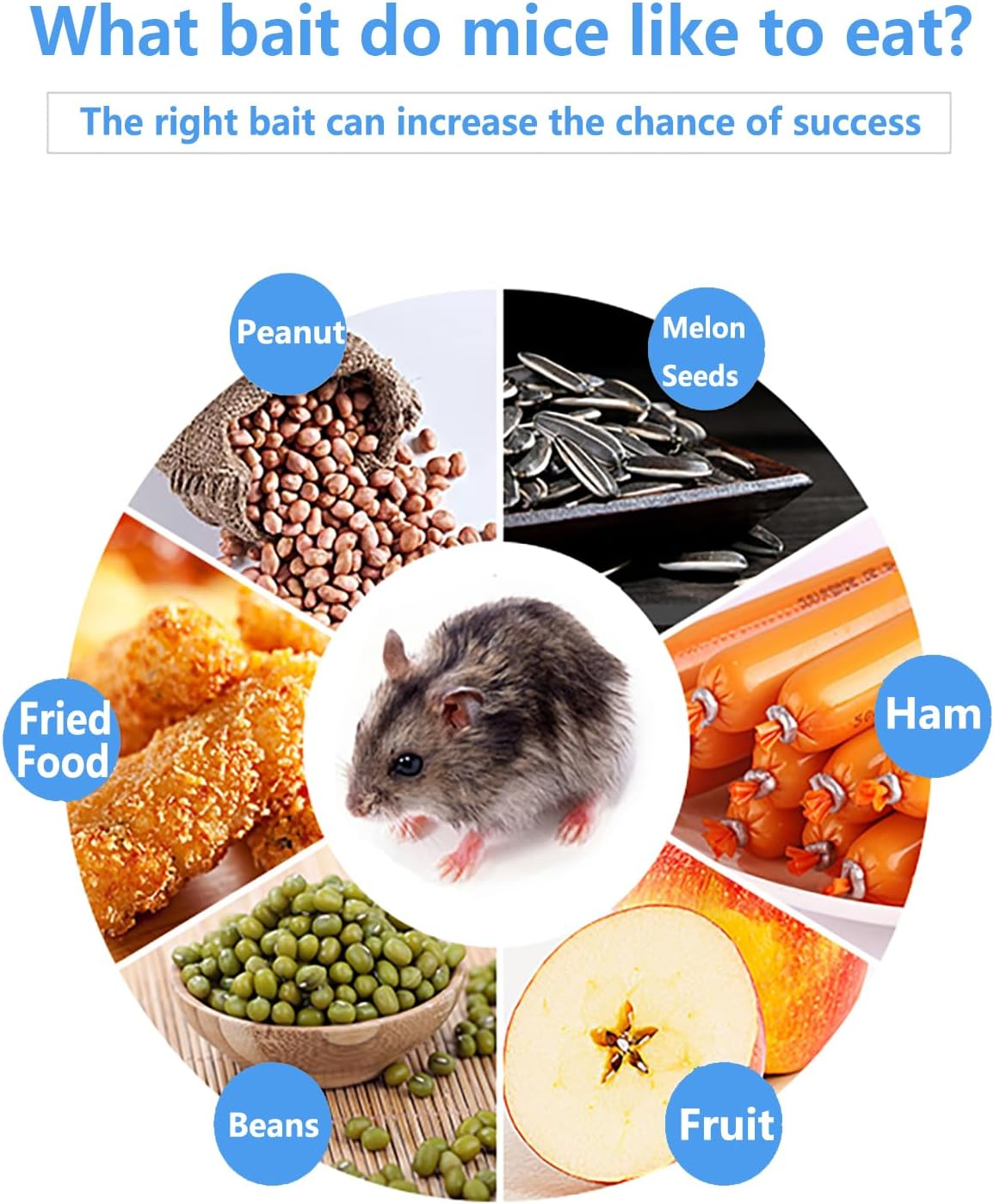 PIXESTT 2 PCS Humane Mouse Trap, Rat Cage Trap Suitable for Capturing Mice or Hamsters Alive, Friendly Small Animal Humane Live Cage Rat - 11.2'' X 5.5'' X 5'' image number 6