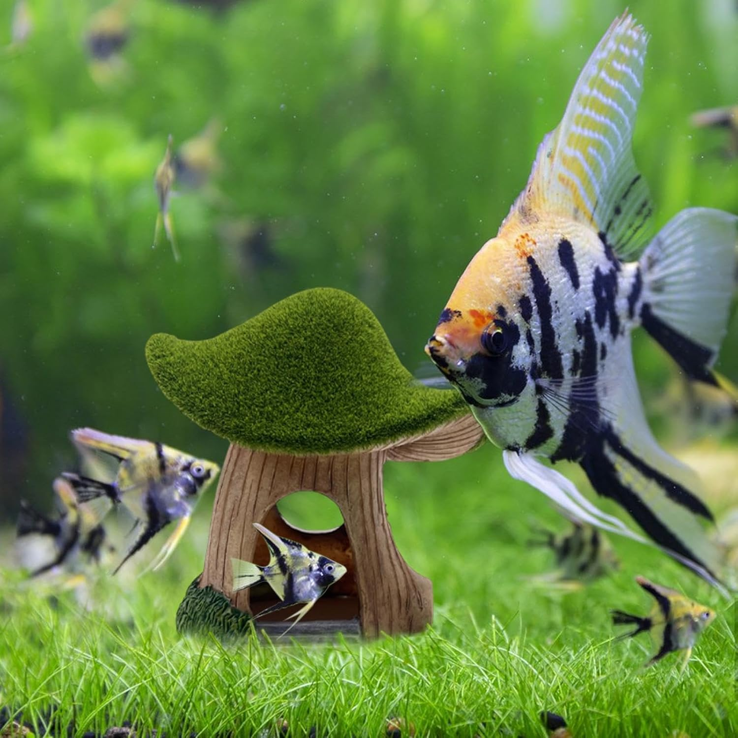 Hjatirace Fish Tank House | Mushroom Green Moss Aquarium House Cave - Fish Shelter Landscape Cave Decor for Live Fish, Pet Shrimp, Reptiles image number 5