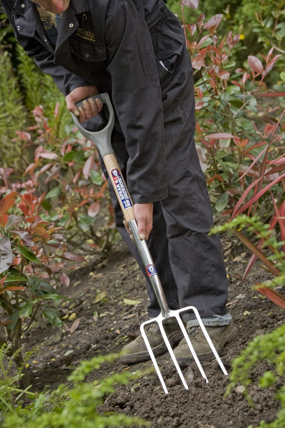 Spear & Jackson BORDER FORK - STAINLESS STEEL TINES, HARDWOOD SHAFT, D-HANDLE SJ-1561BF, Multicolor