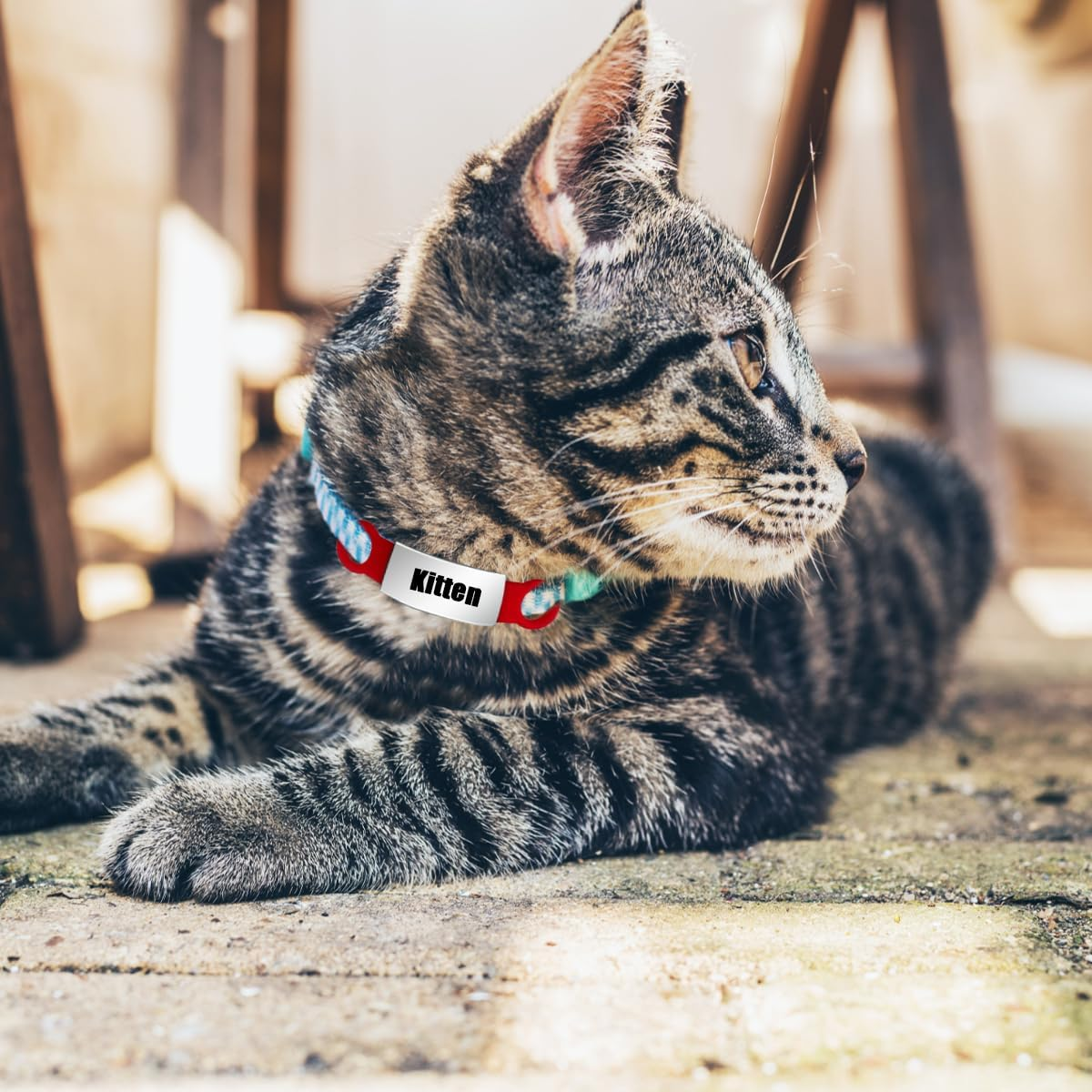 Pet ID Tags, 4 PCS Slide-On Pet Tags for Dogs, Cats (1.5 X 6.5Cm/0.59 X 2.55In) image number 6