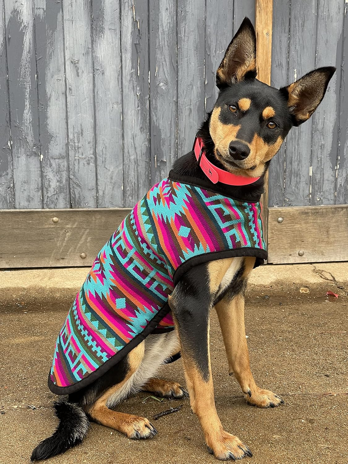 Chilly Dog 300407 Dog Coats, Medium image number 2