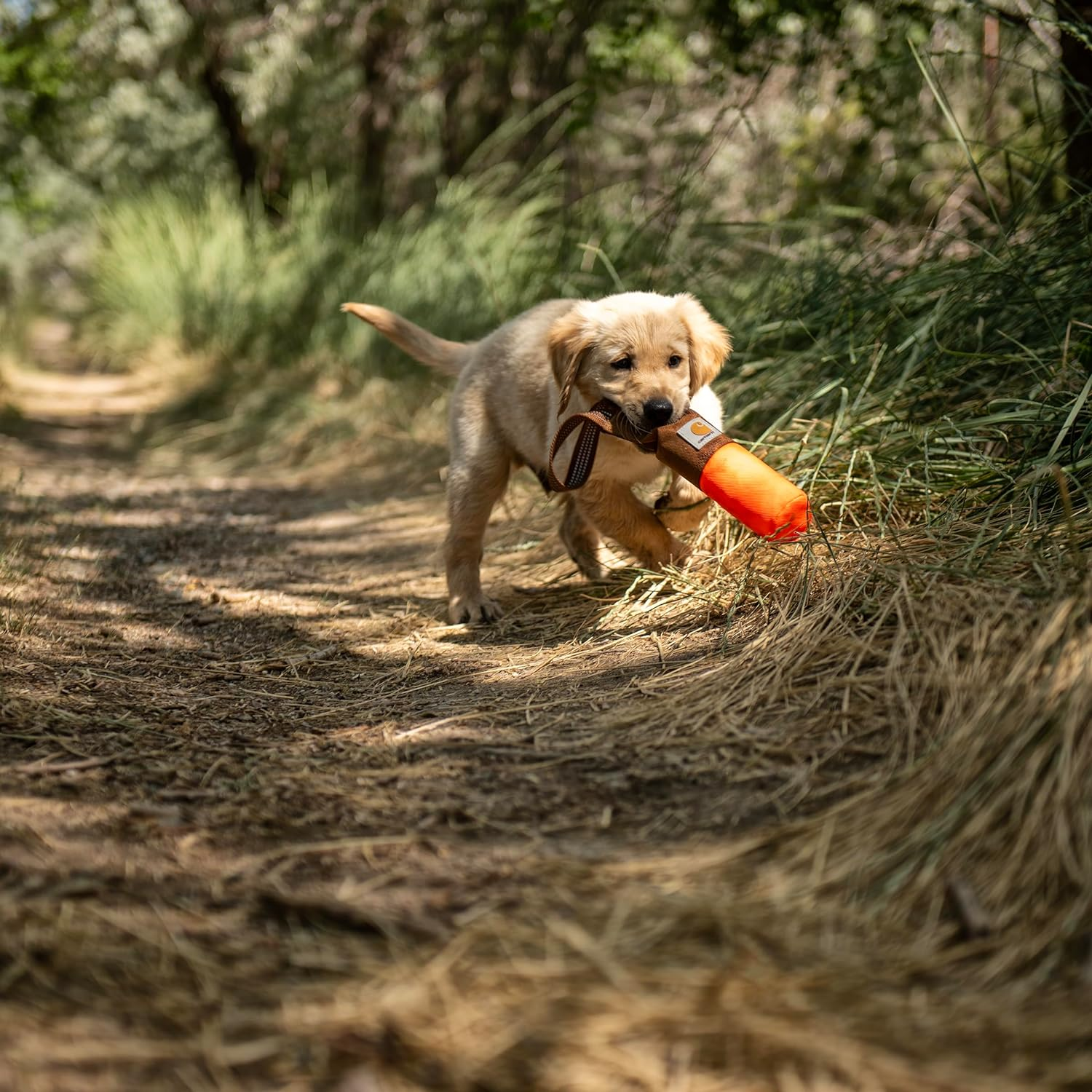 Carhartt Pet Toys, Training Fetch and Chew image number 3