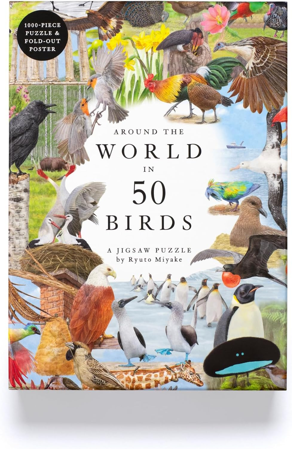 Around the World in 50 Birds: 1000 Piece Jigsaw image number 1
