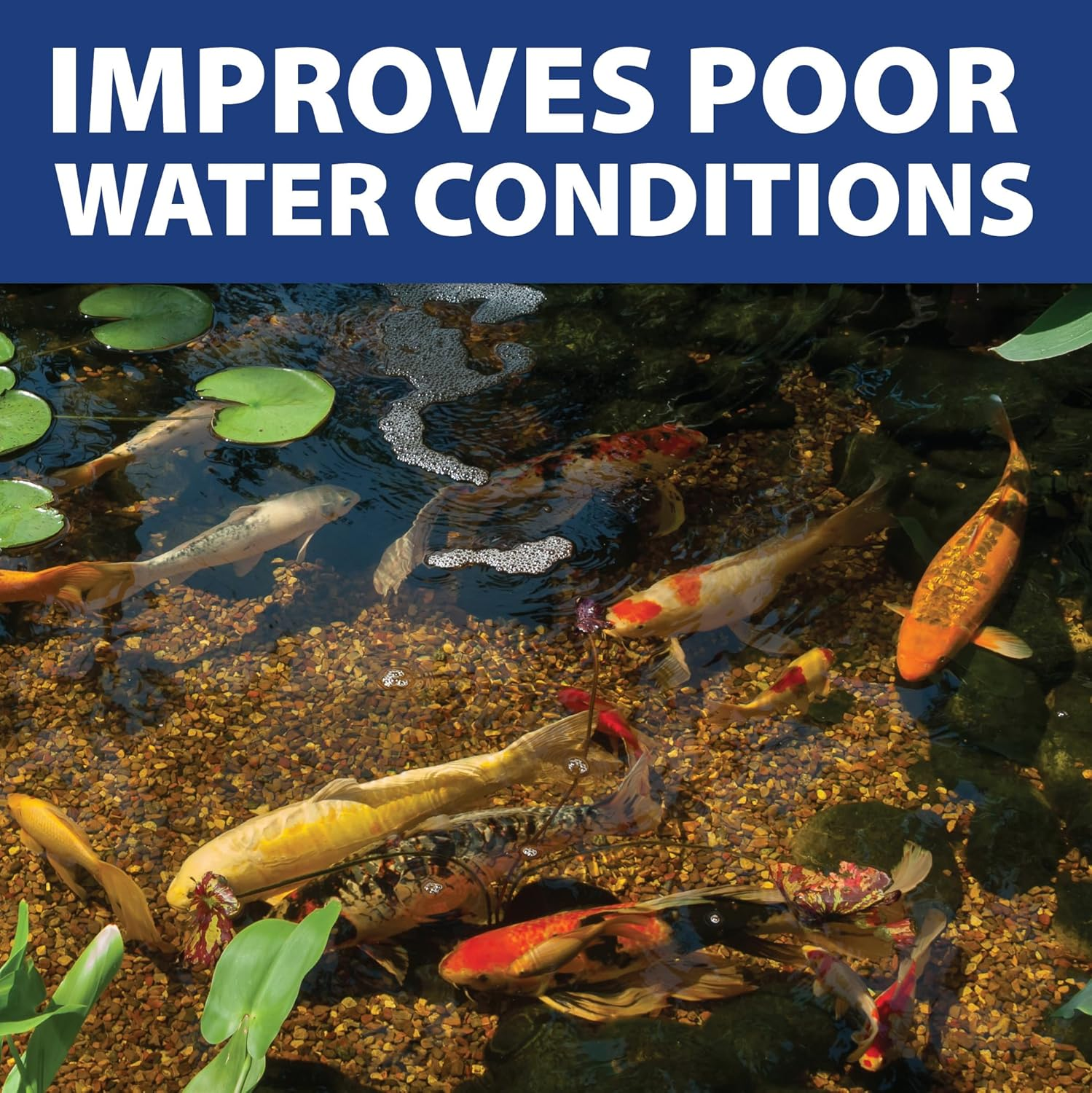 The Pond Guy Instafix Algae Control, Outdoor Water Garden, Fountain & Birdbath Algae Solution, EPA Registered Liquid Algaecide, Control Green Water & String Algae, Bird, Fish & Pet Safe, 16 Ounce image number 5