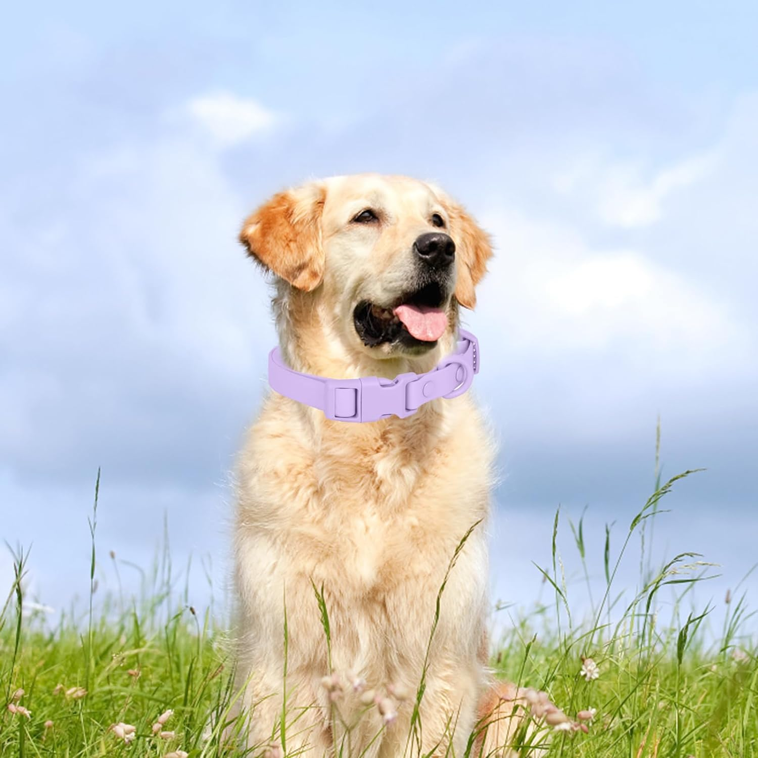 Waterproof Dog Collar Soft Rubber Dog Collar with Safety Buckle Adjustable Pet Collars for Small Medium Large Dogs image number 7