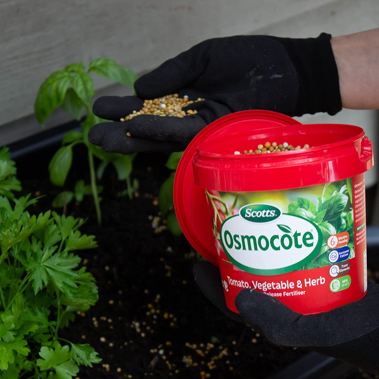 Osmocote Vegetable and Herb Controlled Release Fertiliser, 700G & Scotts Osmocote plus Organics Fruit and Citrus Fertiliser and Soil Improver, 800G