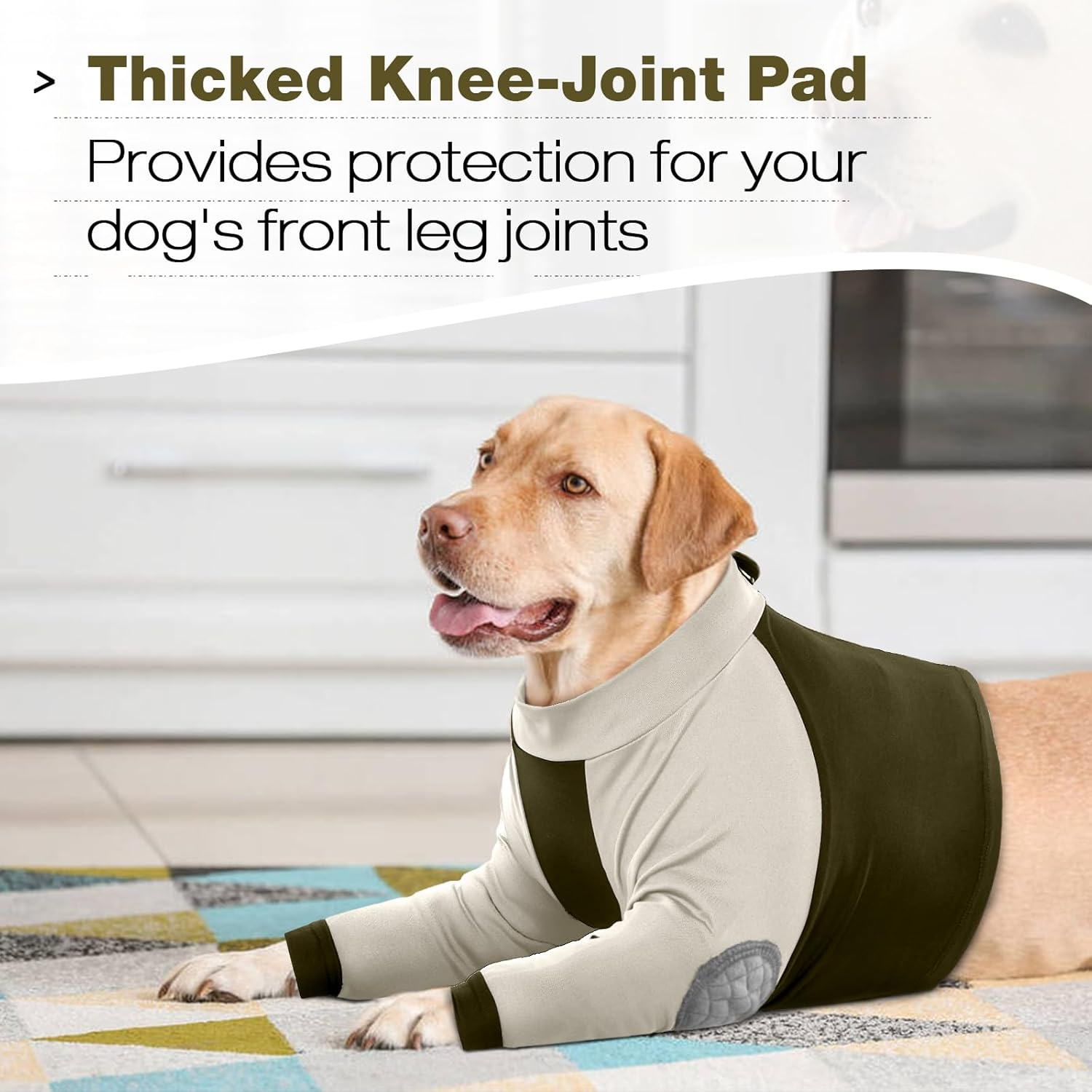 Lelepet Dog Recovery Suit for Front Legs, Dog Sleeve to Stop Licking, Elbow Protector for Leg Injuries Shoulder Wounds after Surgery Male Female,Zippered Long-Sleeved Shirt Cone Alternative(S-3Xl) image number 5