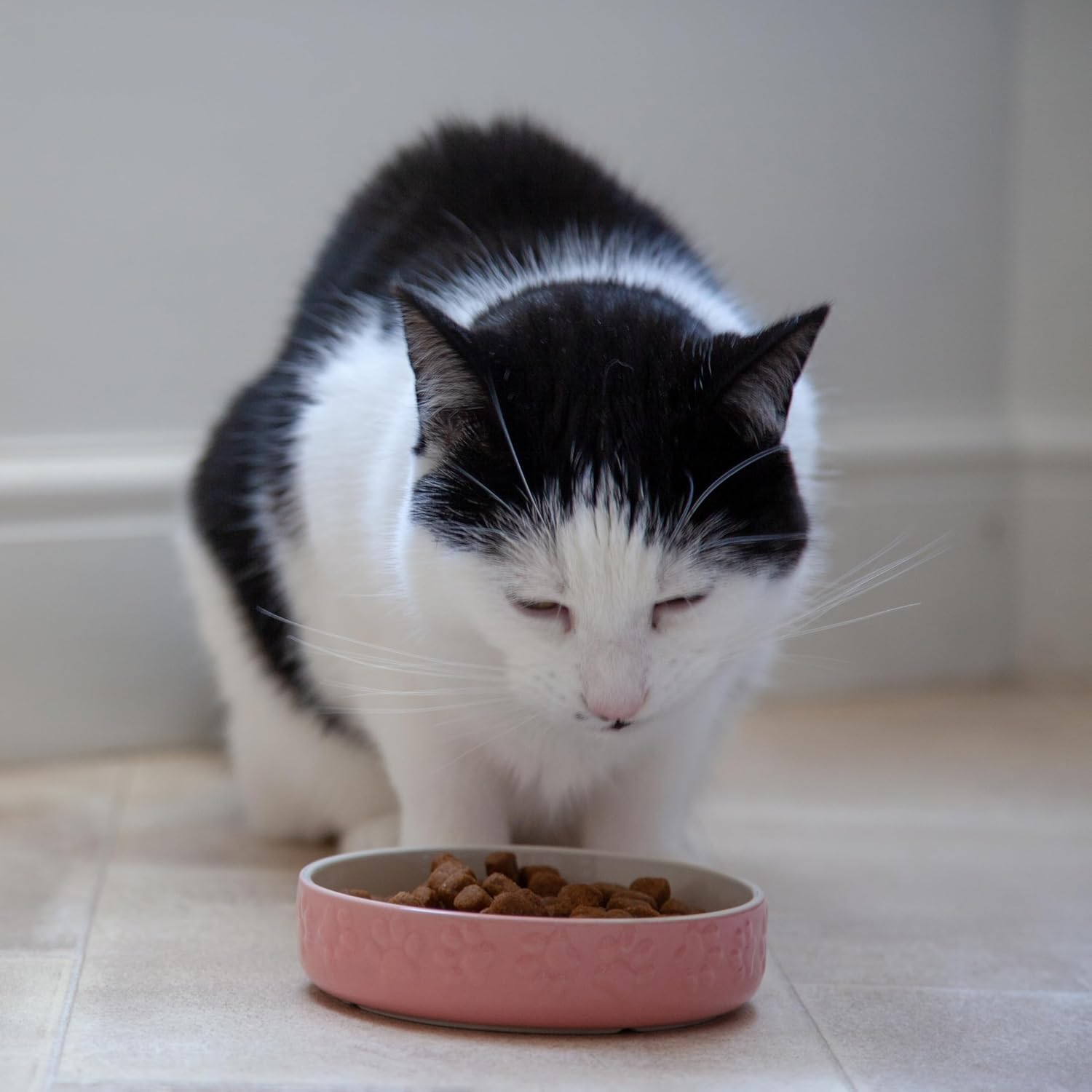 Mason Cash Cat Bowls Bright Coloured Cat Saucer Heavyweight, 13 Cm Diameter, Pink - Grey image number 3