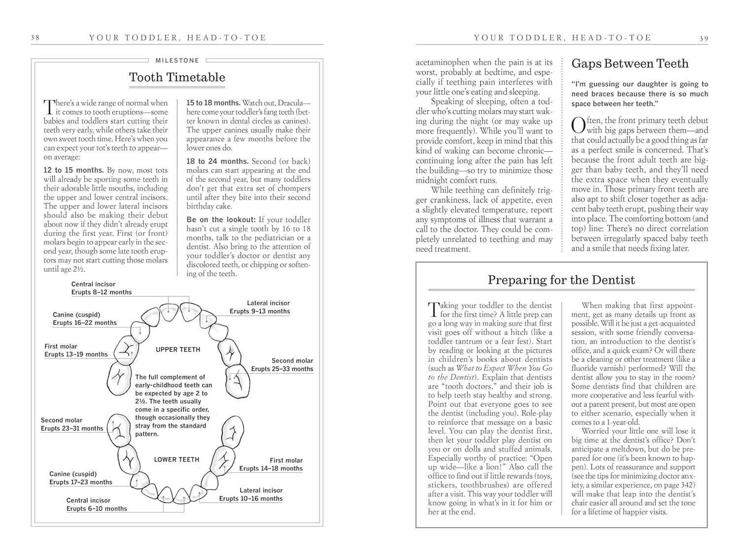What to Expect the Second Year: from 12 to 24 Months image number 2