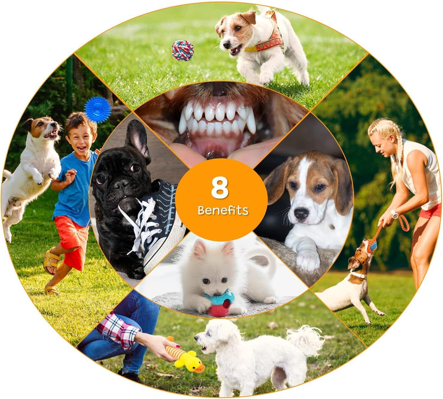 25 Pack Dog Toys Aggressive Chewers,Hmnxg Puppy Toys Chew Toys Dog Toys for Small Dogs Rope for Medium to Large Dogs - 25 Pcs