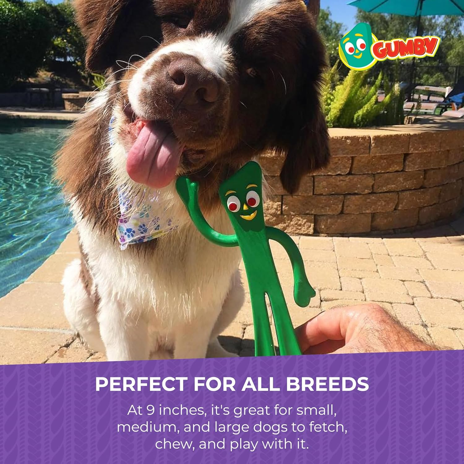 Multipet Gumby Rubber Dog Toy, Green image number 1