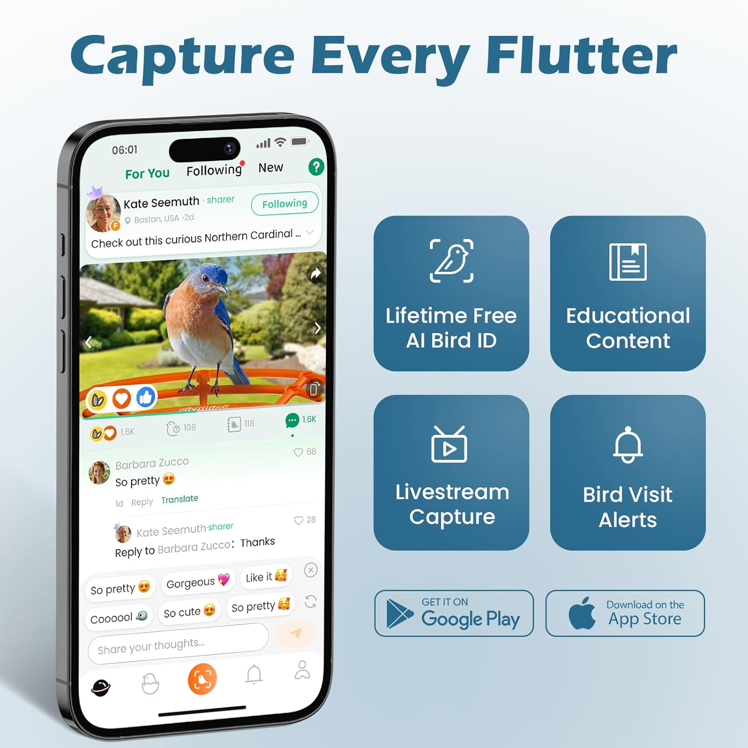 Smart Bird Feeder with Camera, 2K HD Birdwatching Camera with AI Identify Bird Species & Solar Panel, Auto Video Capture & Instant Notifications, Ideal Gifts for Lover, Deep Blue - Green image number 7
