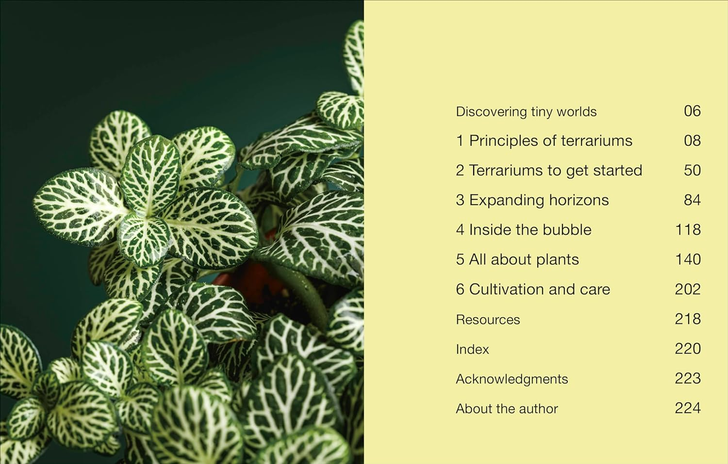 Hello Tiny World: an Enchanting Journey into the World of Creating Terrariums image number 2