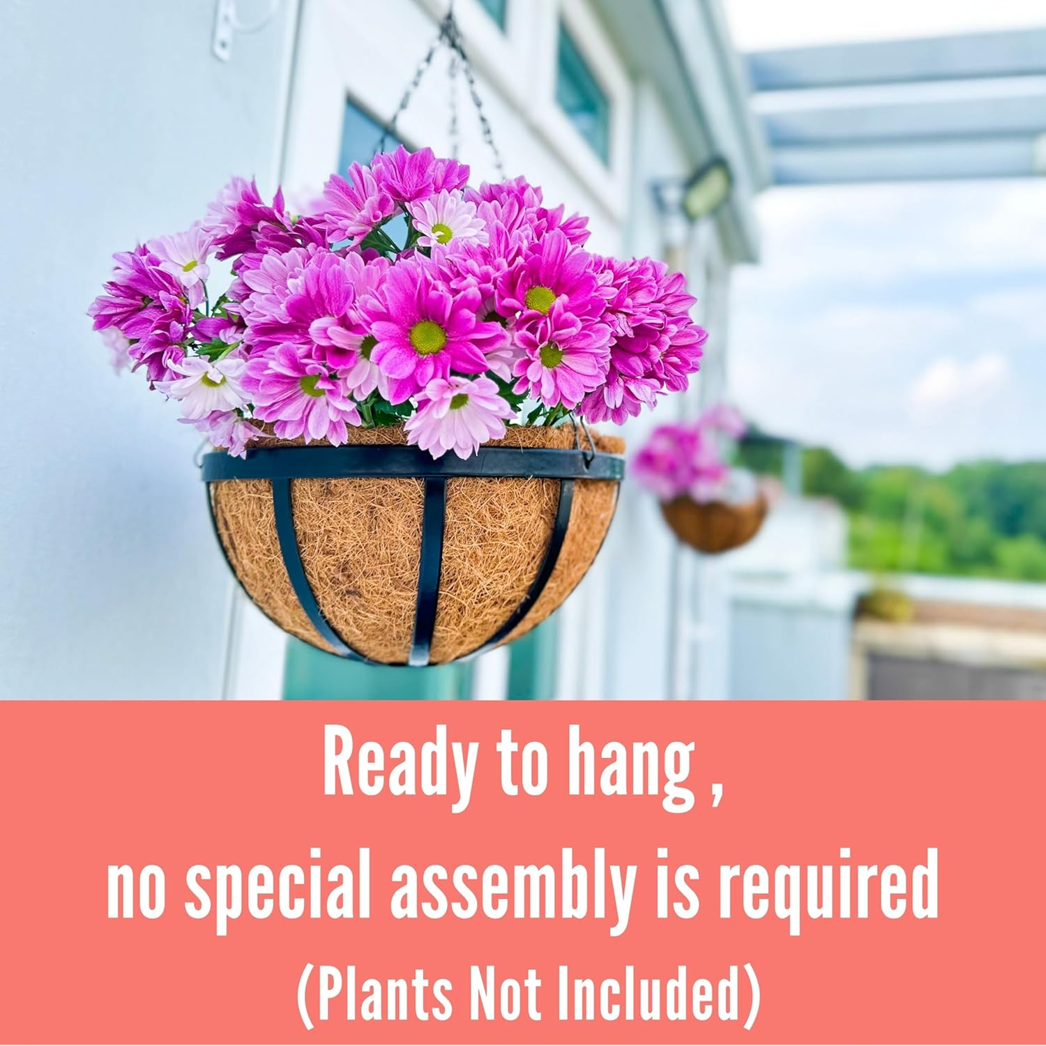 Lalagreen Outdoor Hanging Baskets for Plants Small and Cute Wire Hanging Planters with Coco Liner, Black Metal (2, 10 Inch) image number 2