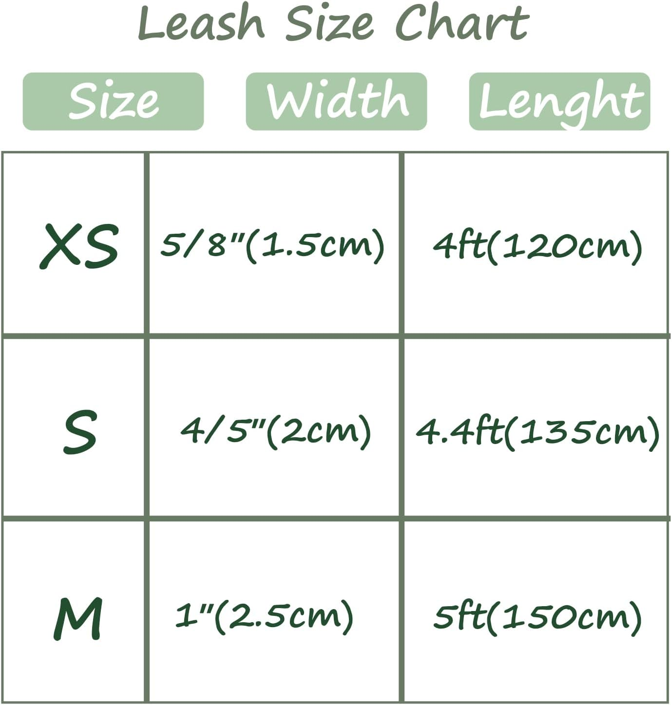 Maca Bates Halloween Dog Leash for Small Medium Large Dog image number 2