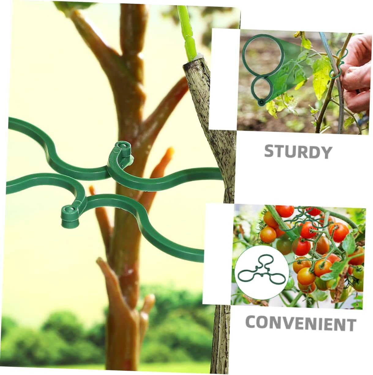 VINTORKY 150Pcs Plastic Plant Climbing Clips for Vine Support Secure Outdoor Garden Bonsai Flower Stem Holder Reusable Gardening Plant Clip image number 6