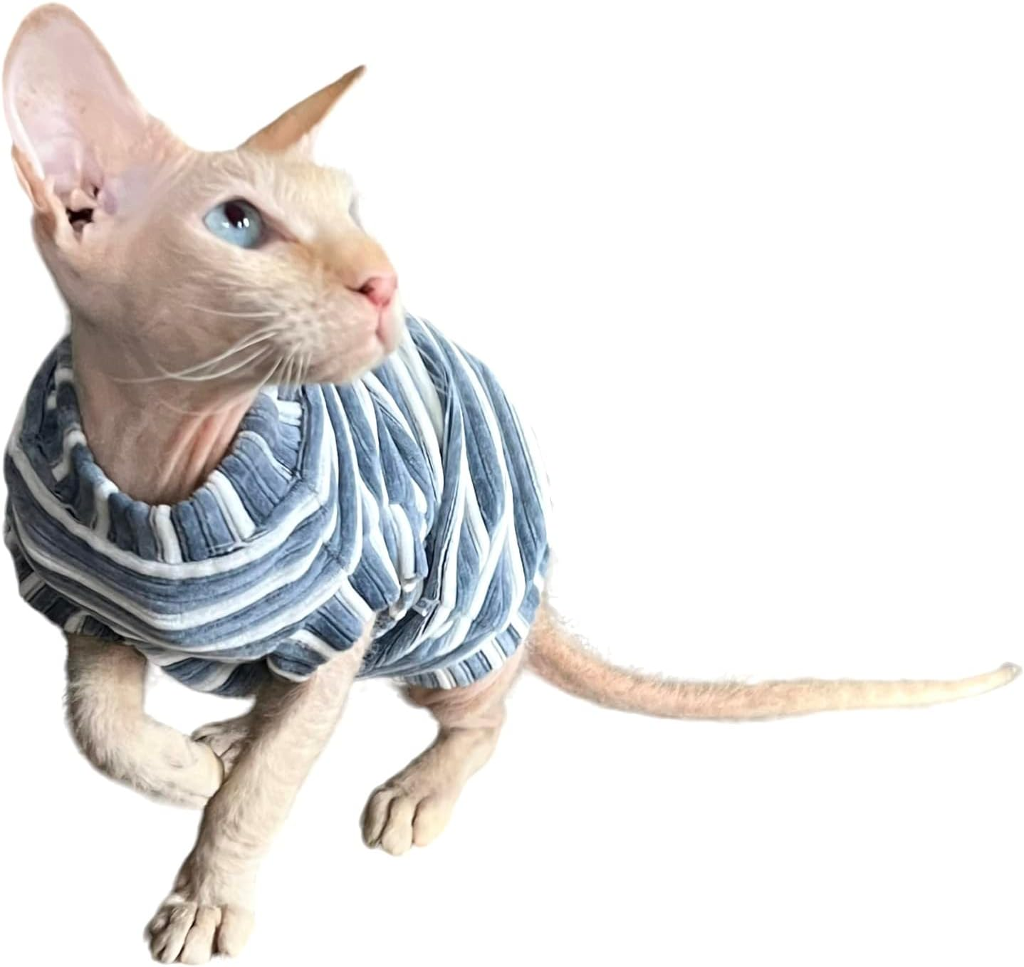 Kotomoda Cat'S T-Shirt Corduroy Dusty Blue for Sphynx and Naked Cats (Small) image number 5