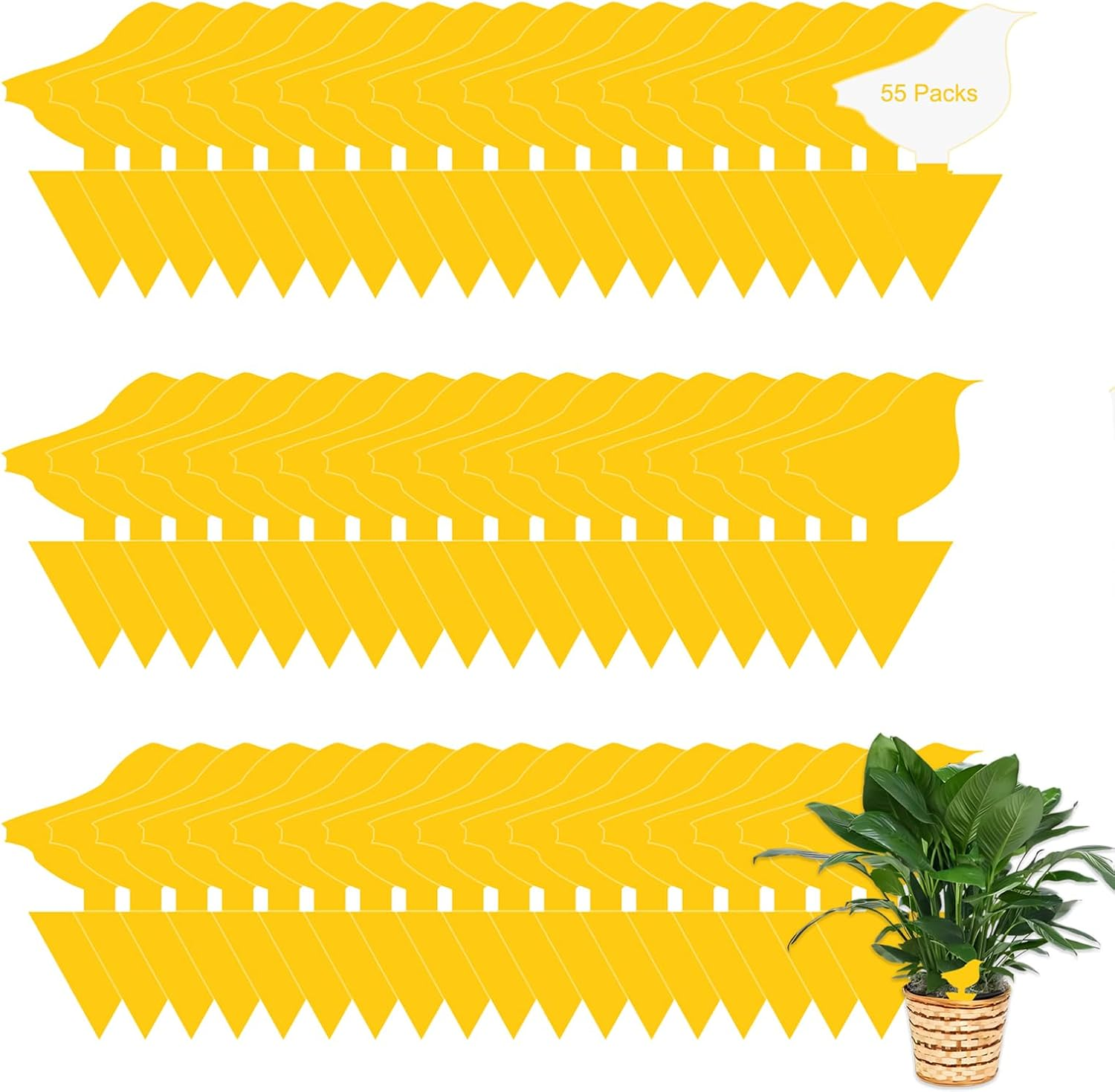 24 Pack Sticky Fruit Fly Fungus Gnat Traps Killer, Dual-Sided Mosquito Fly Gnat Sticky Trap, Insect Catcher for Mosquitoes, Flies, Pests & Bugs, Fruit Fly Traps for Plants, Vegetables, Fruits, Garden image number 4