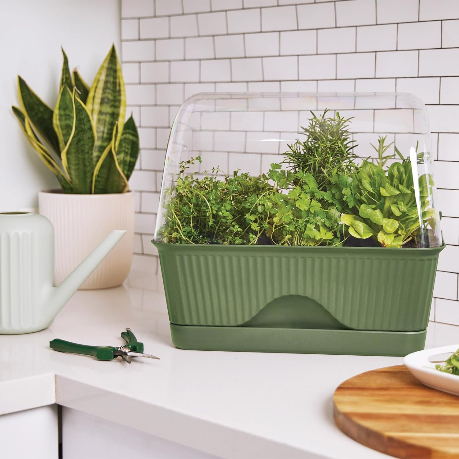 Lula Mini Greenhouse, Green image number 1