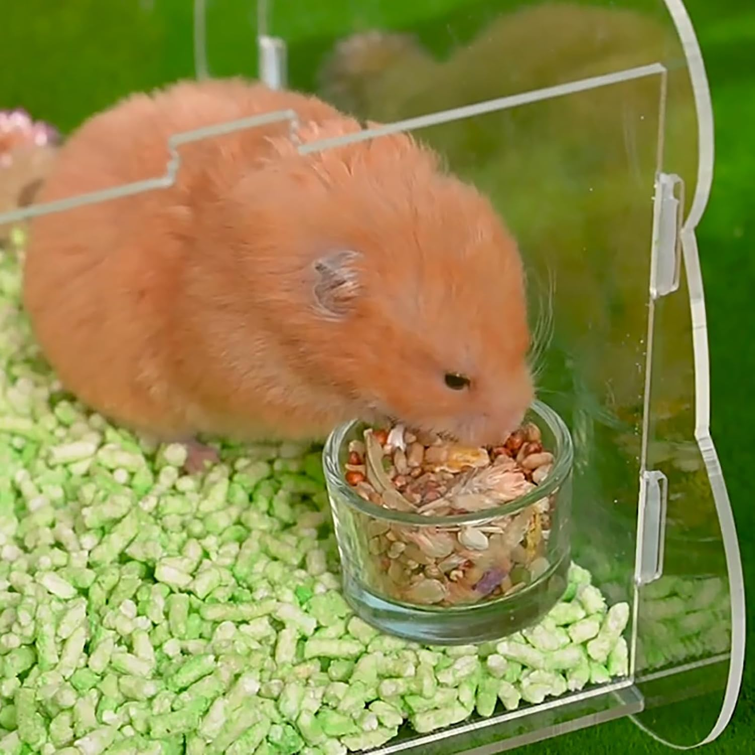 LIFEBEA Portable Hamster Carrier &ndash; 360&deg; Clear Acrylic Travel Cage with Water Bottle & Food Bowl | Ventilated Small Animal Transport for Dwarf Hamsters, Guinea Pigs, Sugar Gliders (Pink) - Pink image number 6