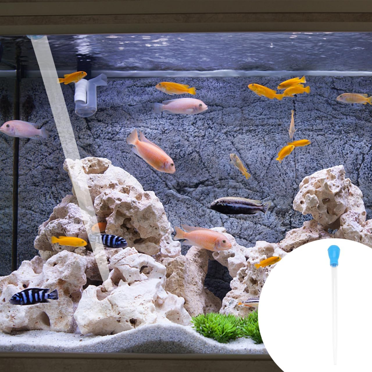 Ipetboom Turkey Baster Long Aquarium, 17Inch Fish Tank Coral Feeder, Fish Tank Gravel Mini Vaccume Pipettes Aquarium, Coral Food Feeding Tool for Marine Reef Aquatic Plant image number 5