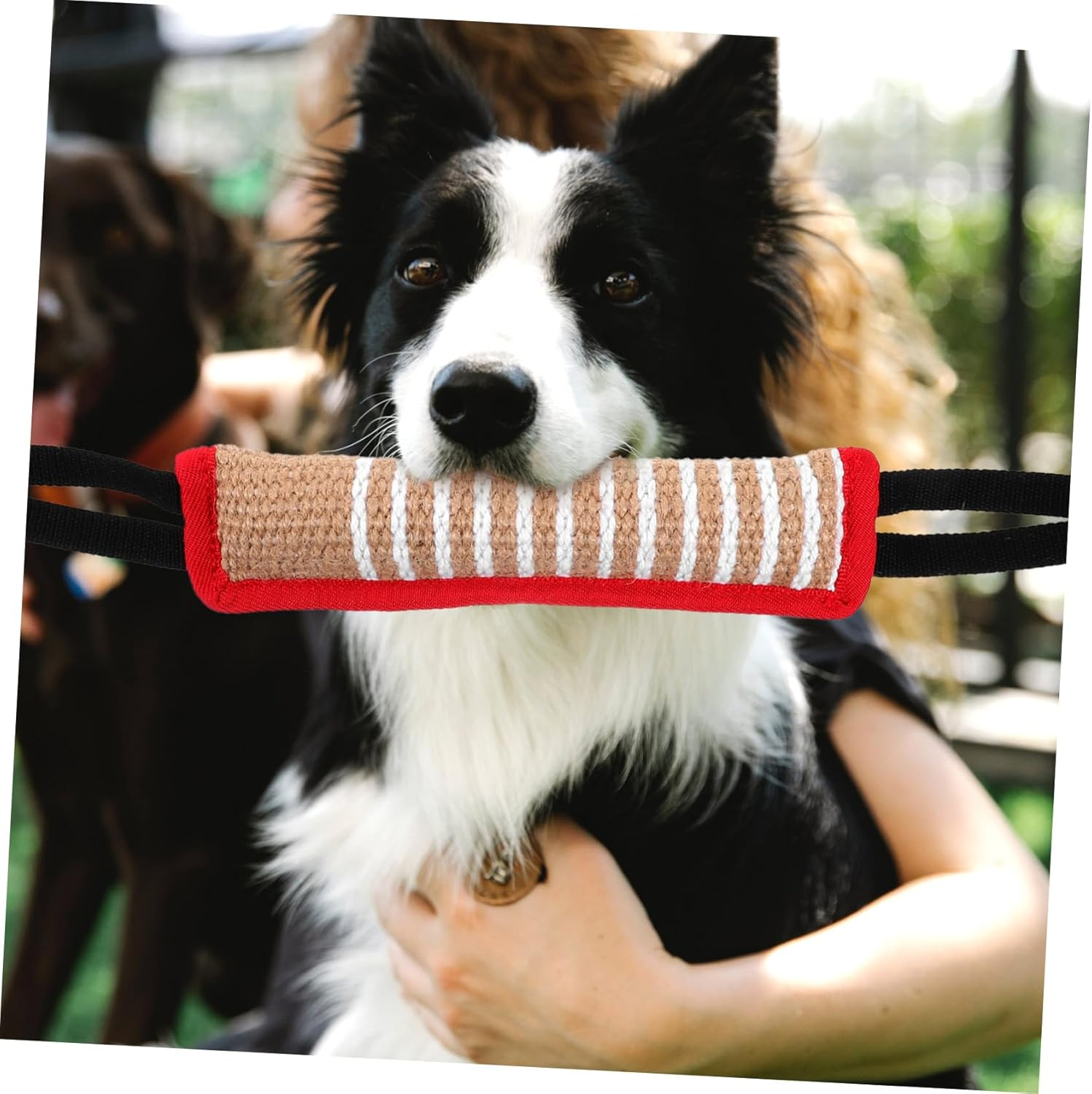 WOONEKY Dog Jute Bite Pillow Toy Interactive Training Equipment for Large Dogs Chew Resistant Toy for Bonding and Molar Exercise image number 5
