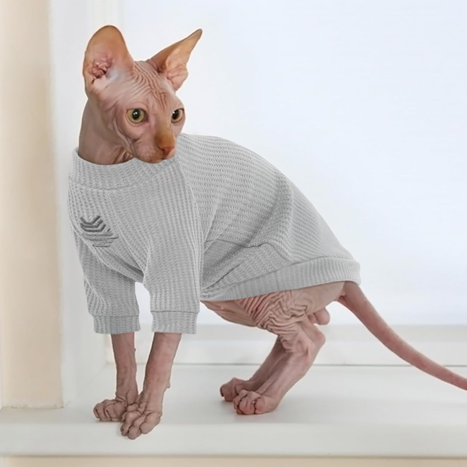 Iecoii Sphynx Cat Clothing, Hairless Cat T-Shirts, Cat Clothing Soft Cotton Cat Shirts for Cats Only, Jumper Cat Jumper Vest with Sleeves, for Sphynx, Cornish Rex, Devon Rex, Peterbald image number 5